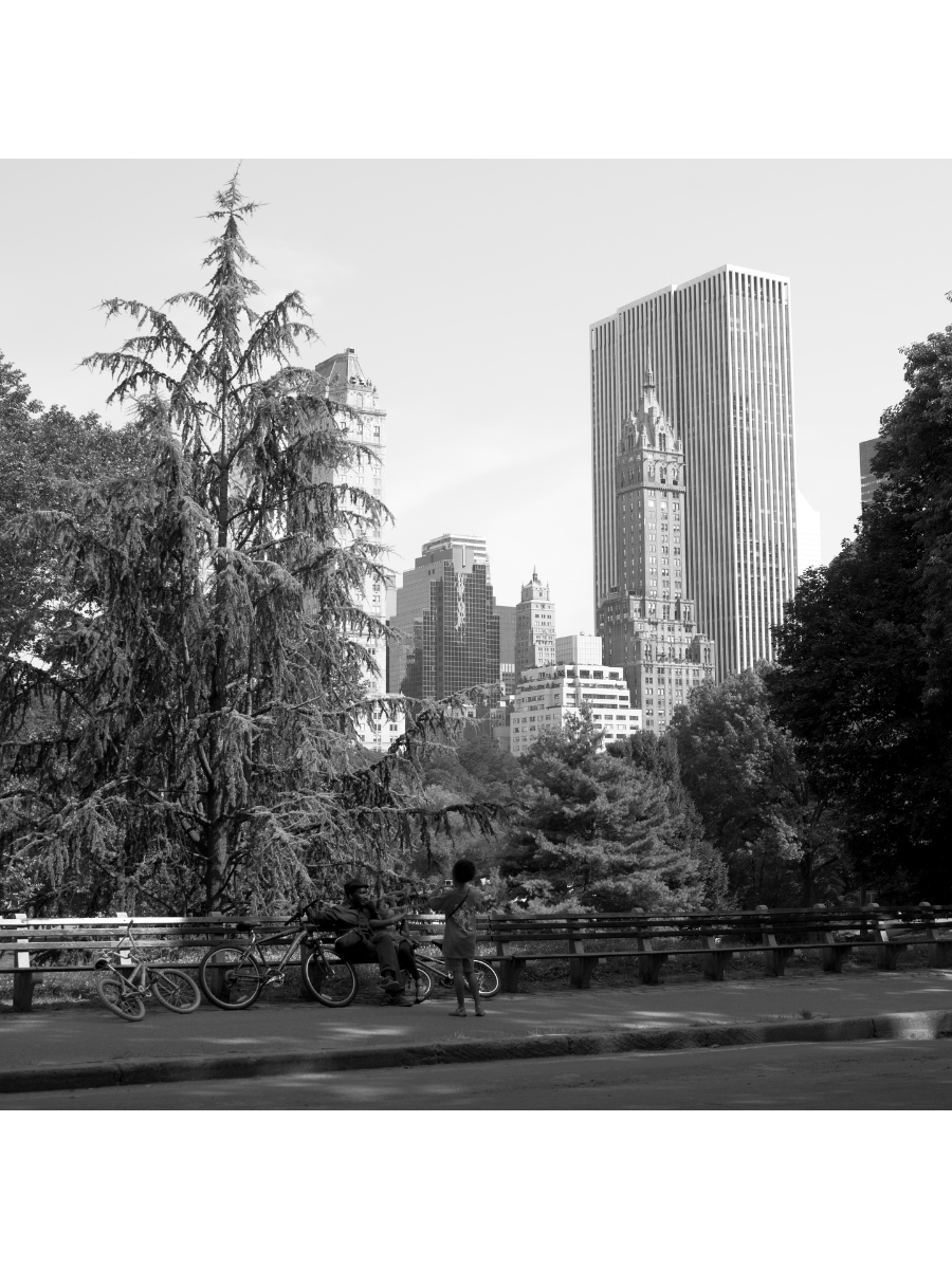 Jordan Craig, Family in Central Park