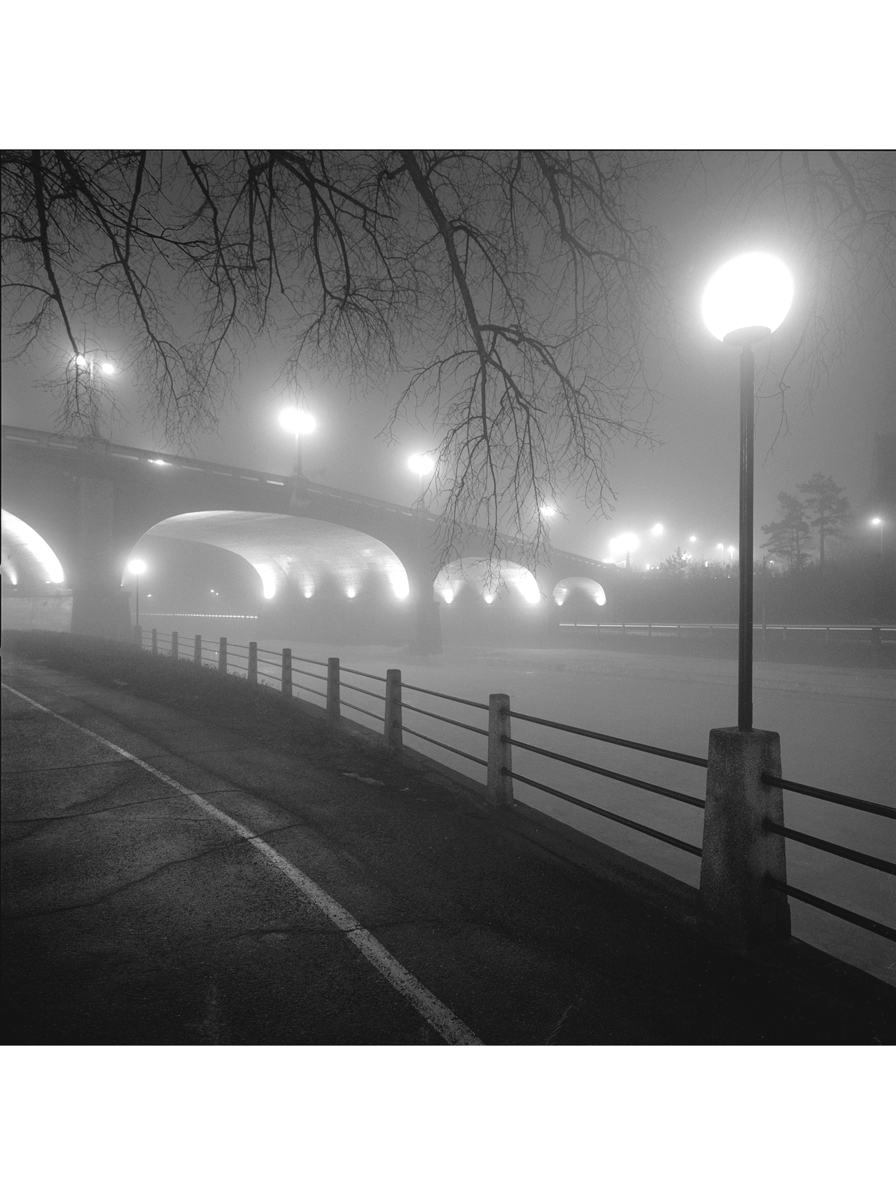 Jordan Craig, Foggy Night