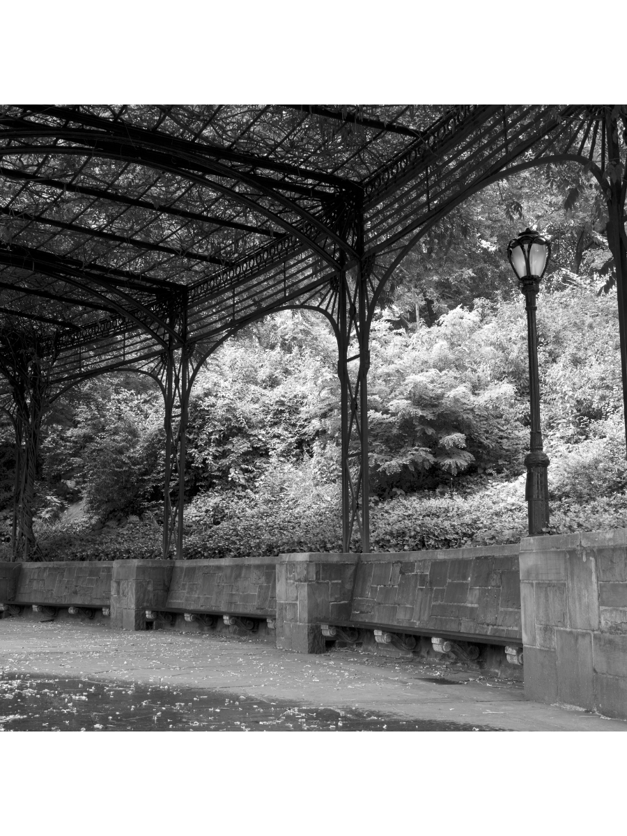 Jordan Craig, Garden Benches NYC