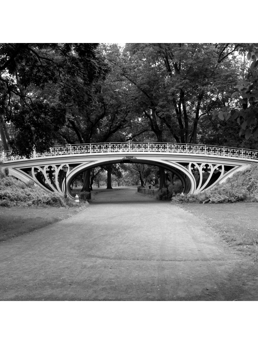 Jordan Craig, Gothic Bridge