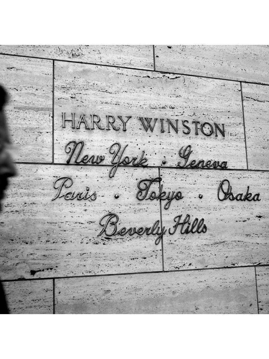 Jordan Craig, Harry Winston-1