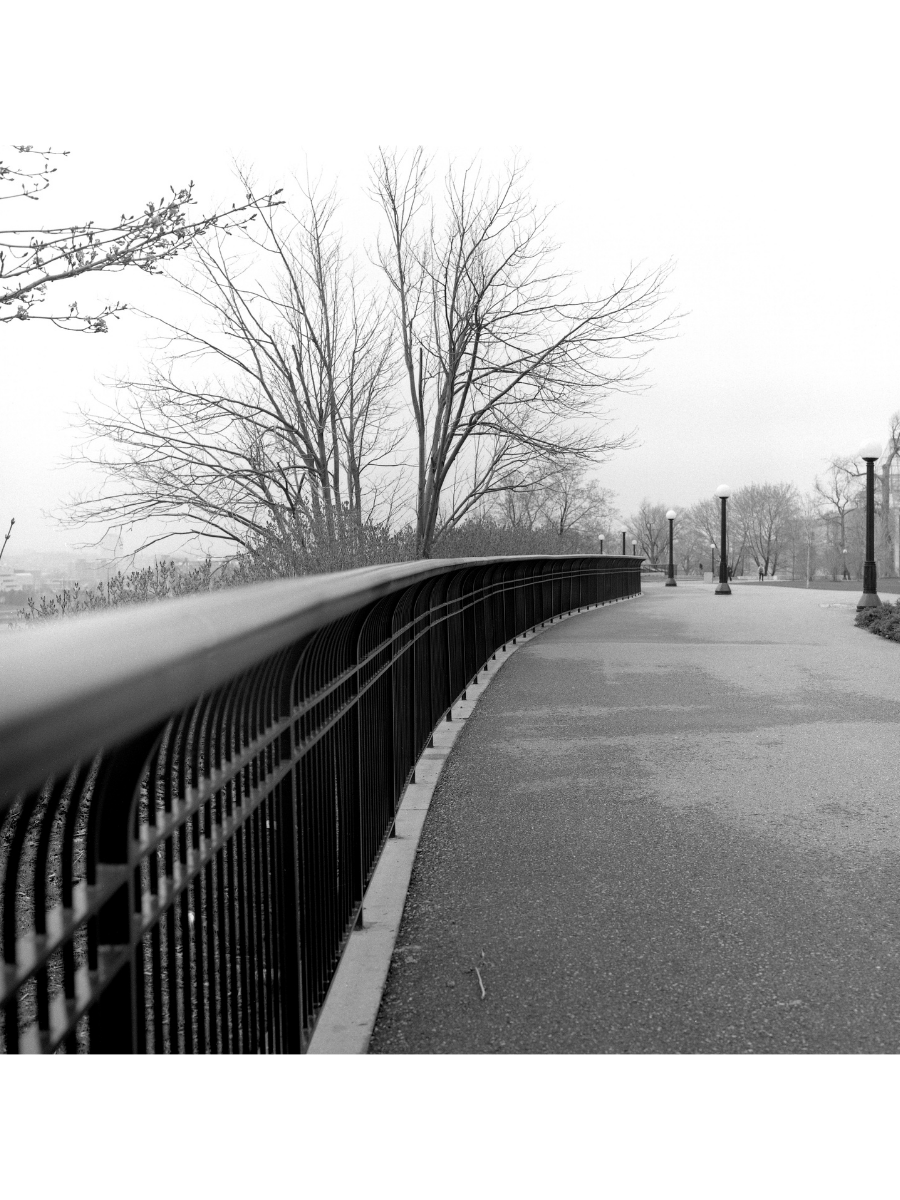 Jordan Craig, Railing