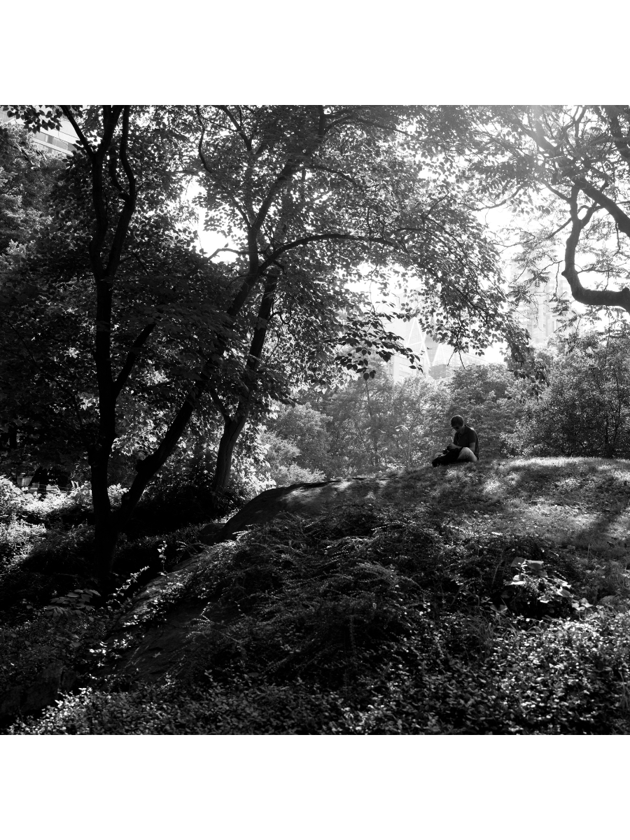 Jordan Craig, Sitting in Central Park-1