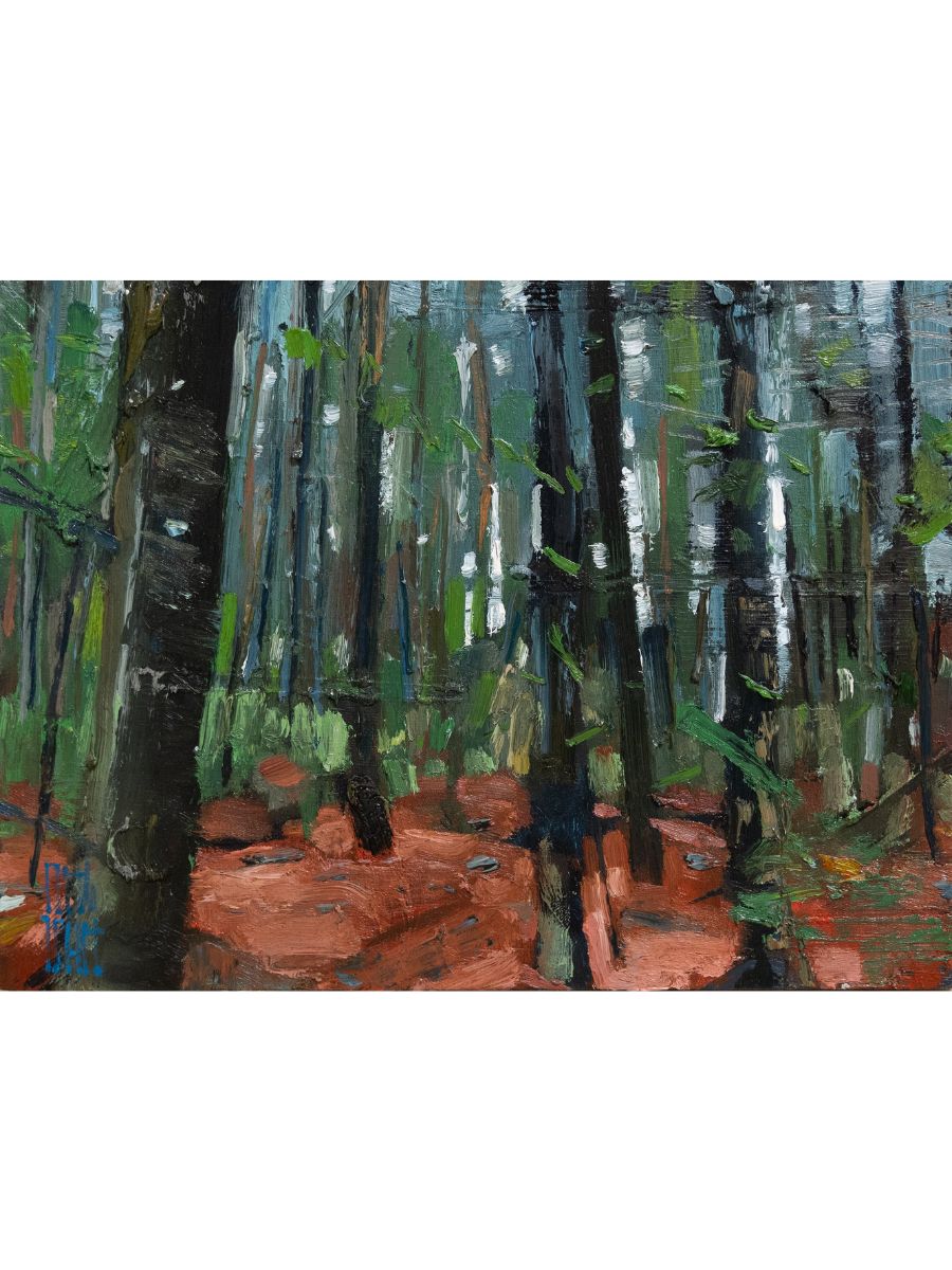Stewart Jones, CEDARS_INTERIOR