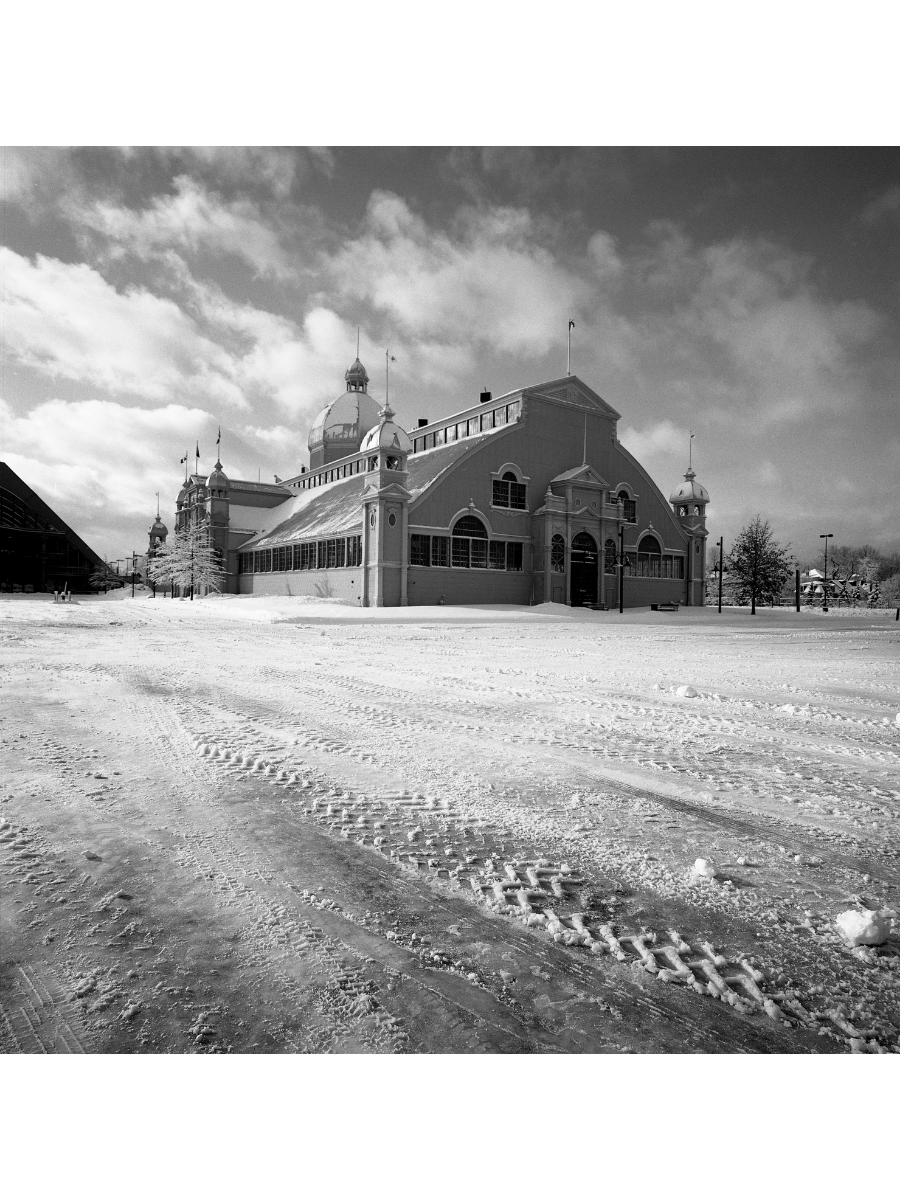 Jordan Craig, Winter Cattle Castle