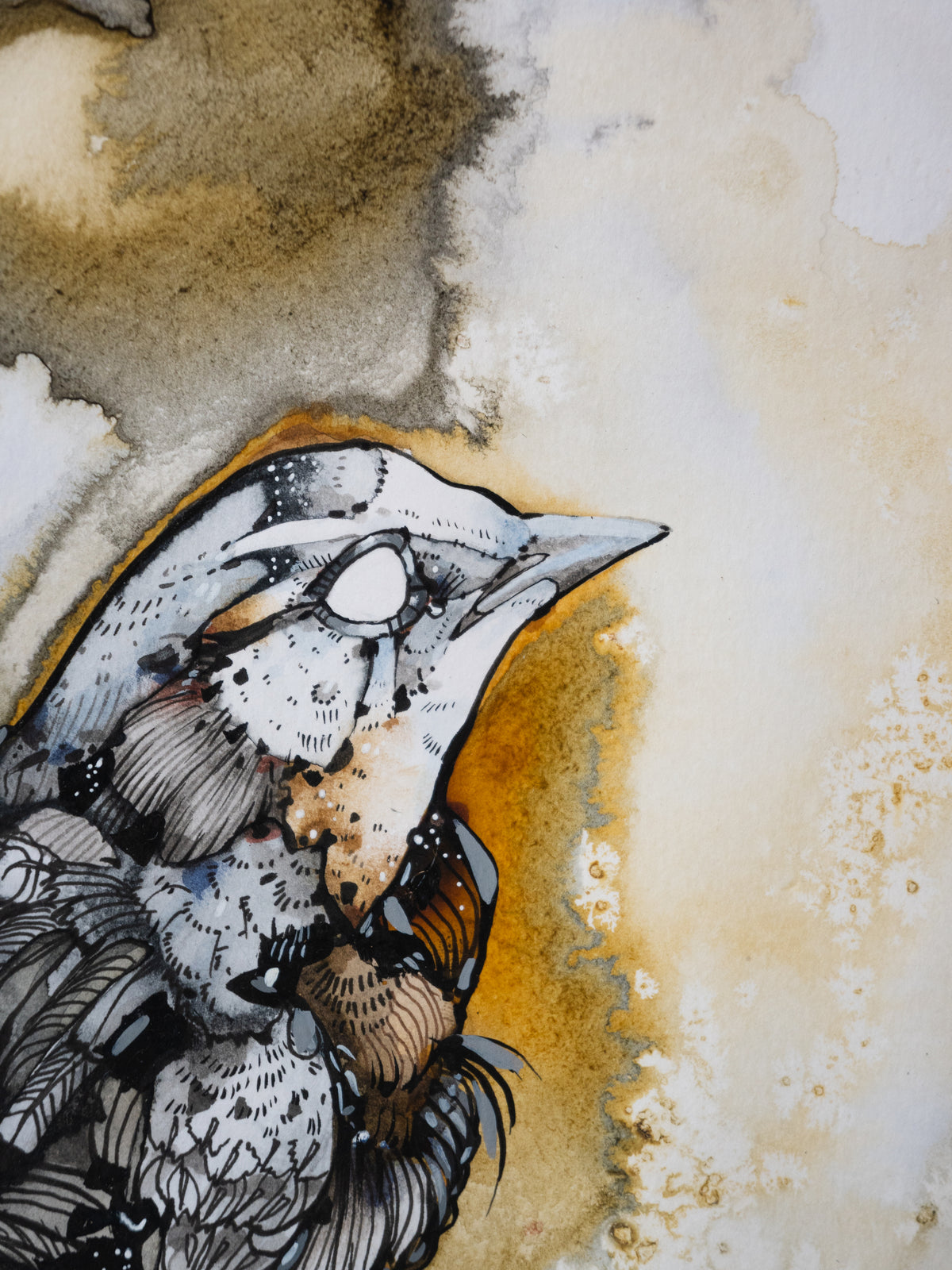 Ariane Beauchamp, Kinship
