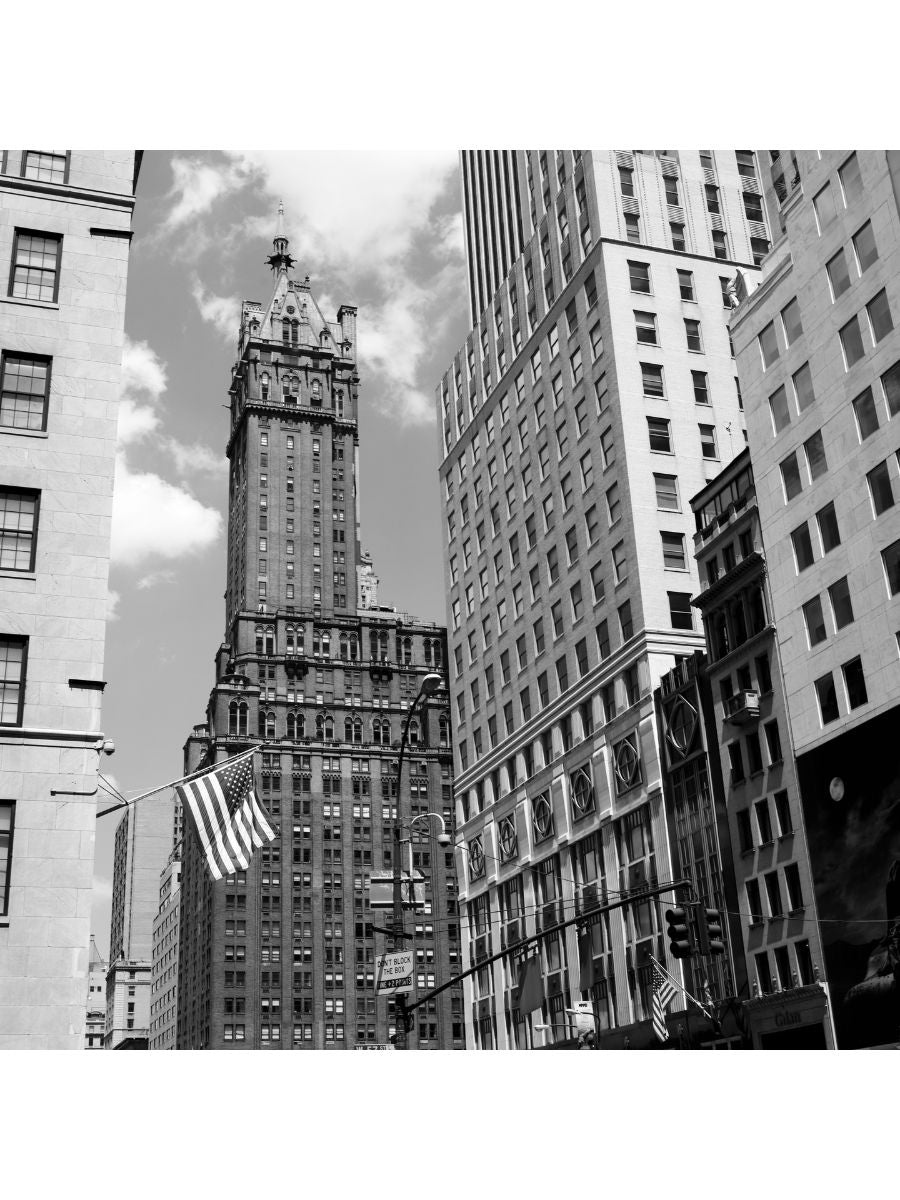 Jordan Craig, 5th Ave Towers-1