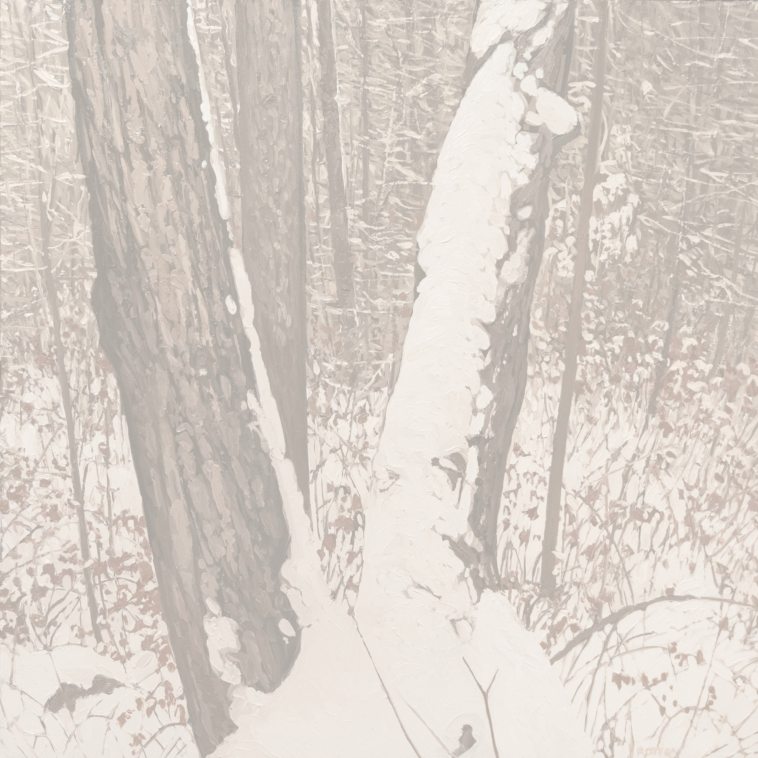 ACQUIRED | Peter Rotter, First Snow