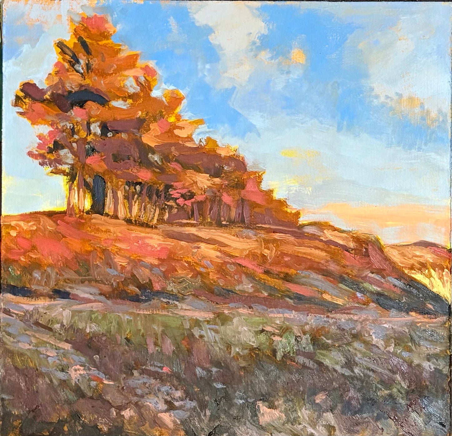 Brandon McVittie, AMBER LIGHT TO THE SEA 2