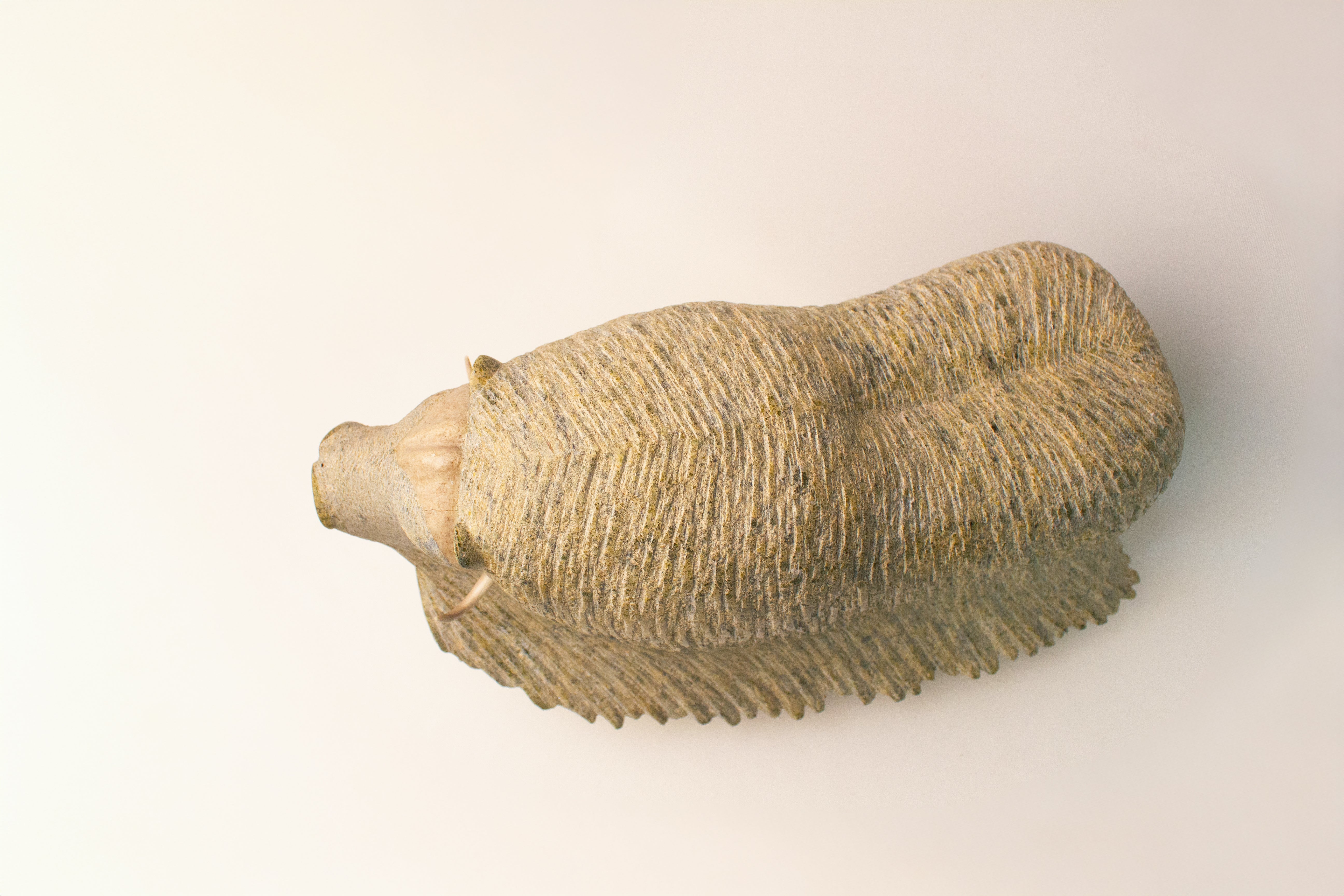Muskox, Lucassie Ikkidluak (Inuit, Kimmirut)-8