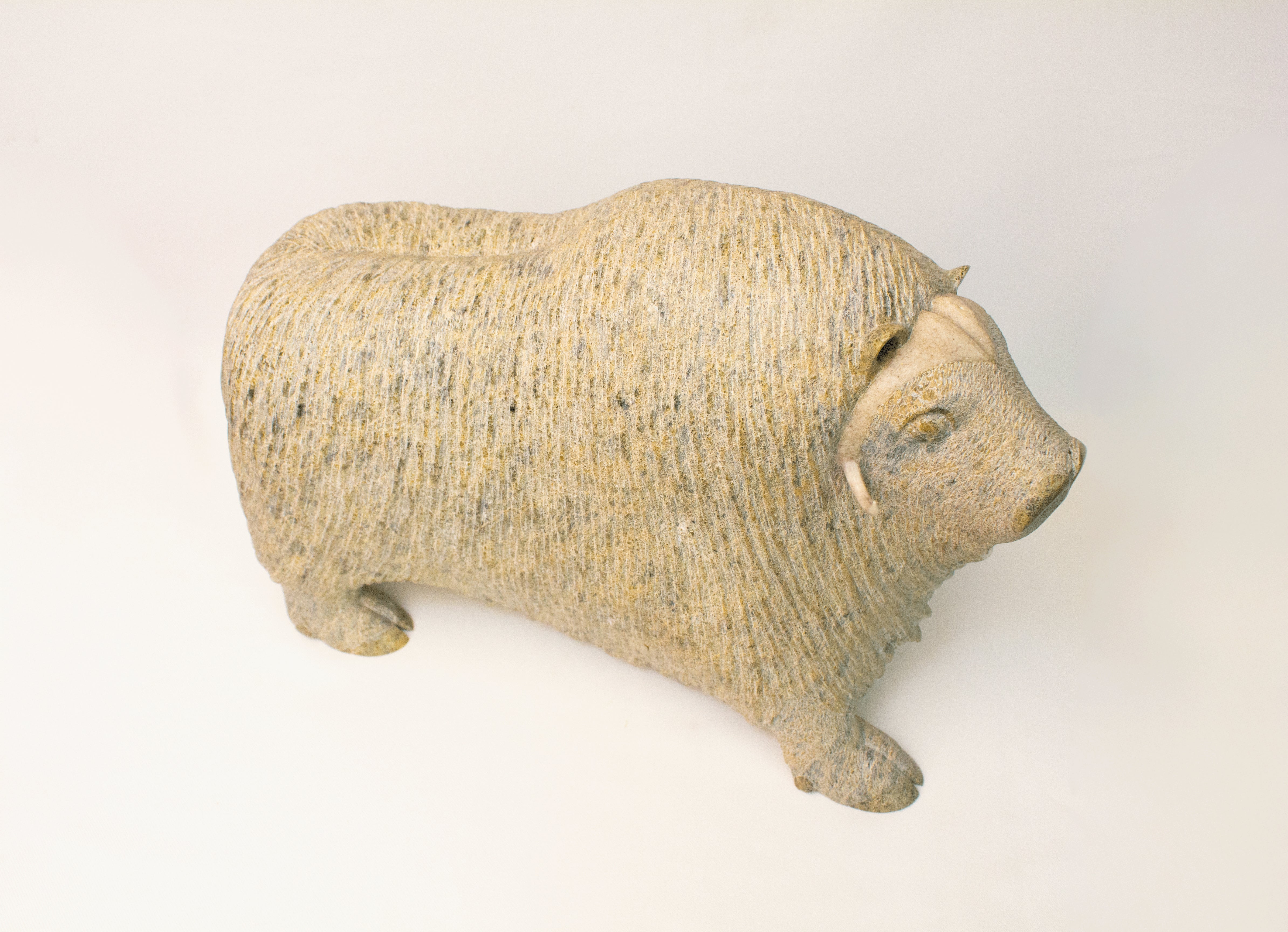 Muskox, Lucassie Ikkidluak (Inuit, Kimmirut)-10
