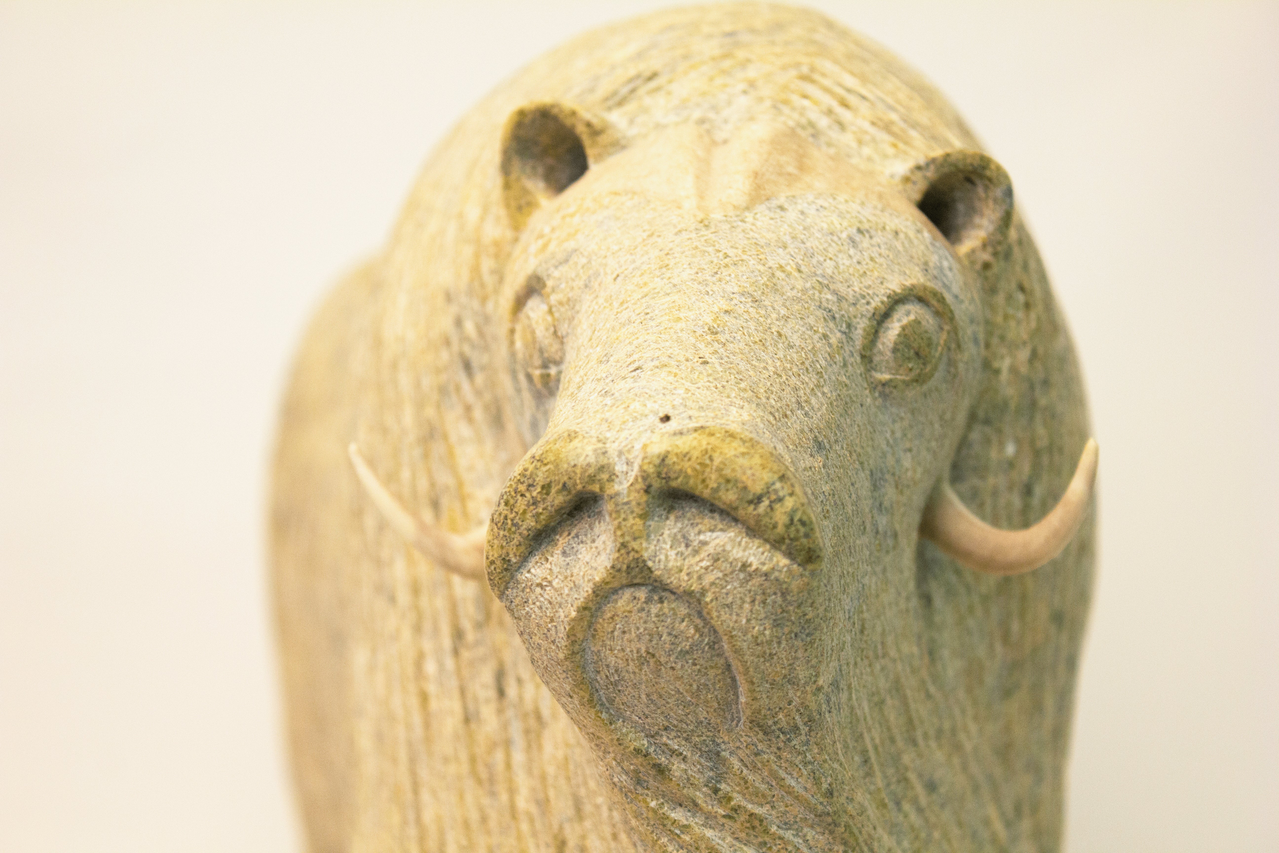 Muskox, Lucassie Ikkidluak (Inuit, Kimmirut)-2