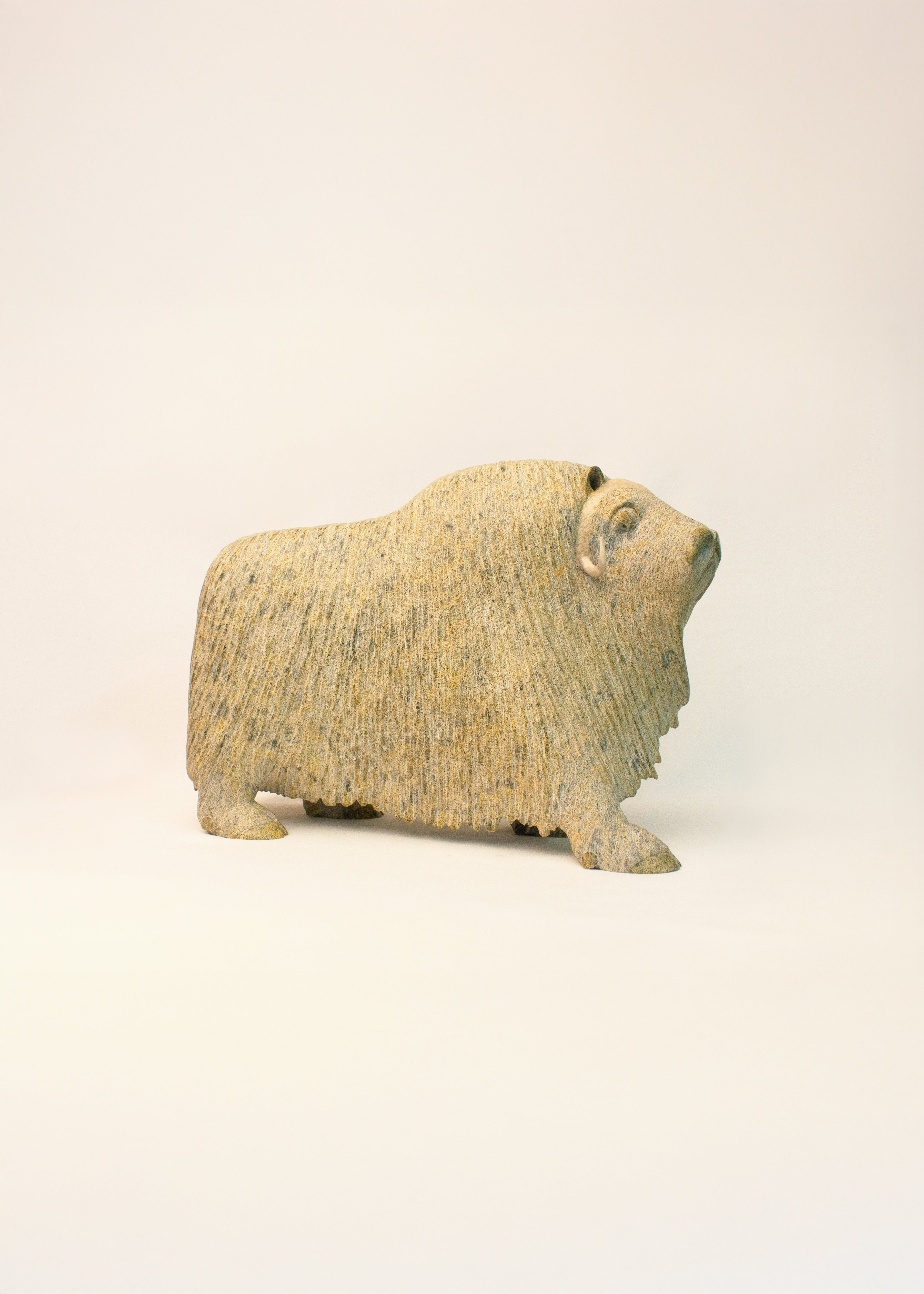 Muskox, Lucassie Ikkidluak (Inuit, Kimmirut)-5
