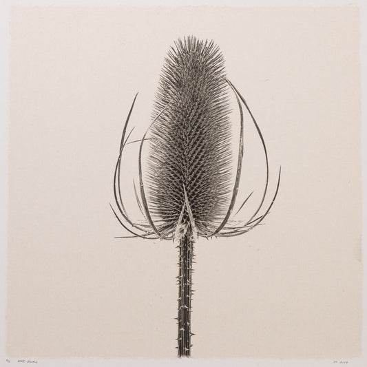 Kelly McDonald, Bare Bones