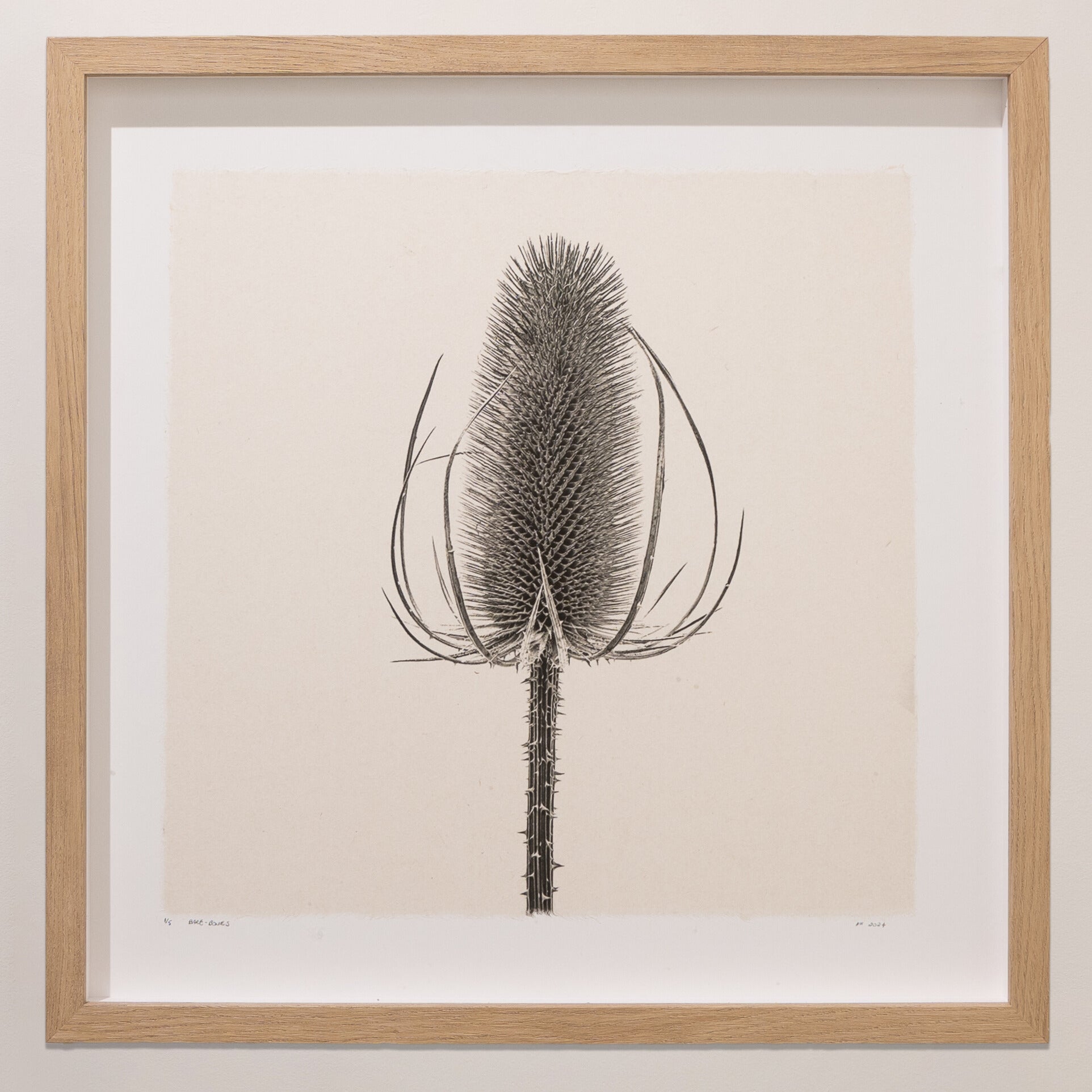 Kelly McDonald, Bare Bones