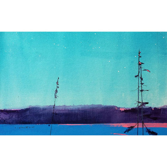David Lidbetter, Almost Night