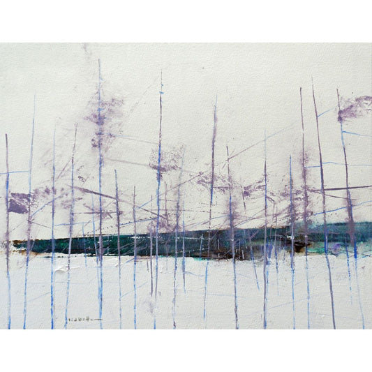 David Lidbetter, Colony