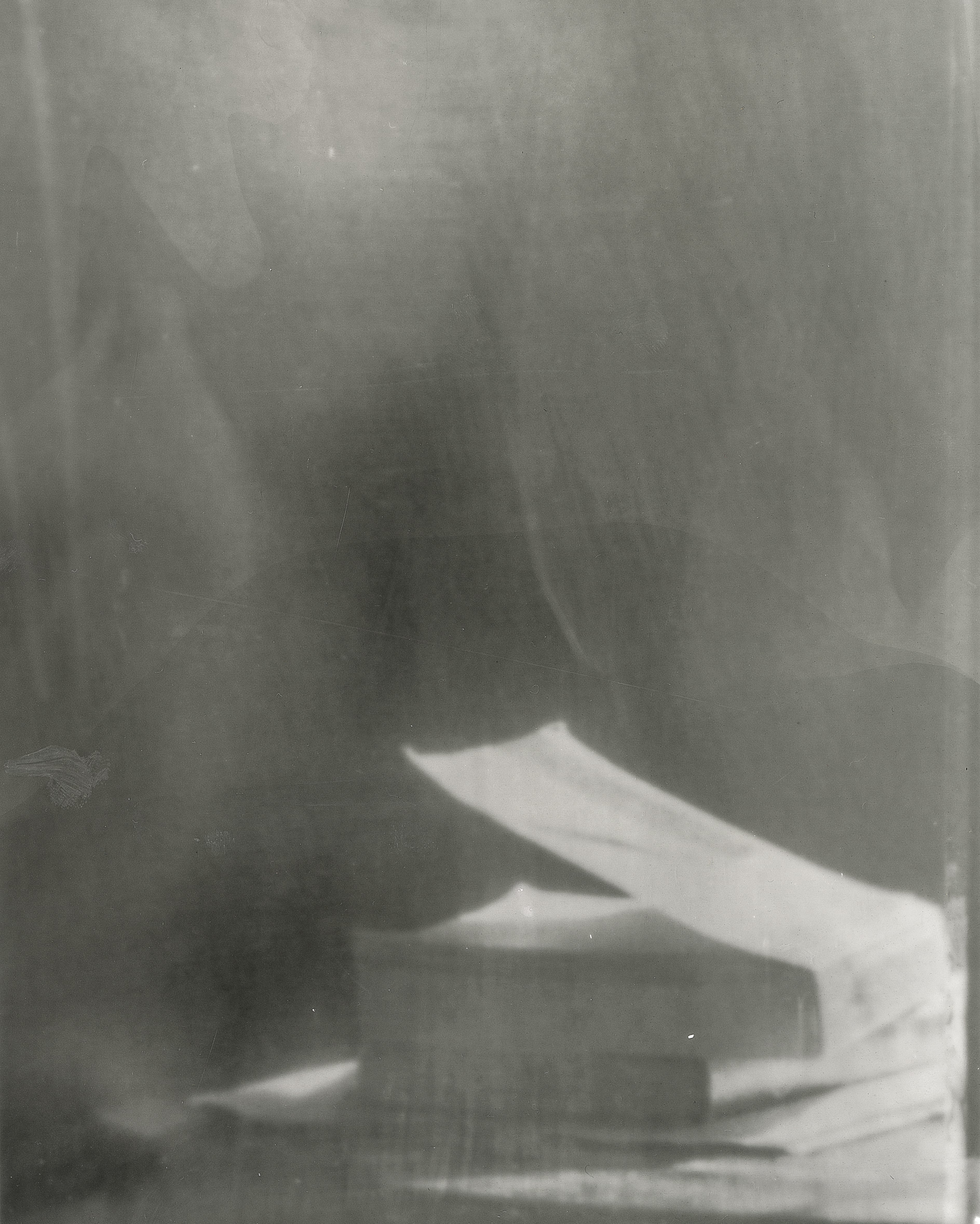 Joy Kardish, Book-2