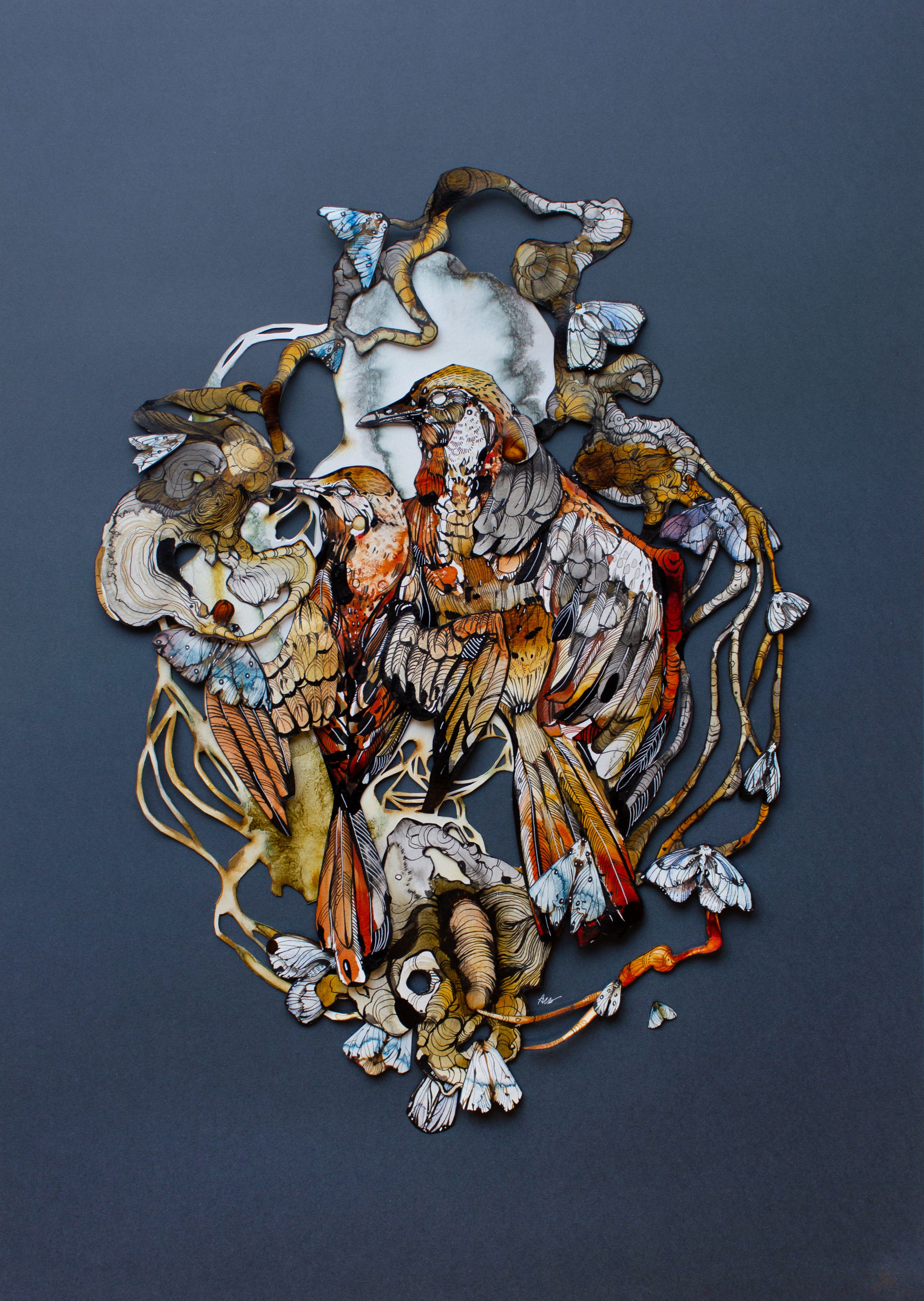 Ariane Beauchamp, Bound