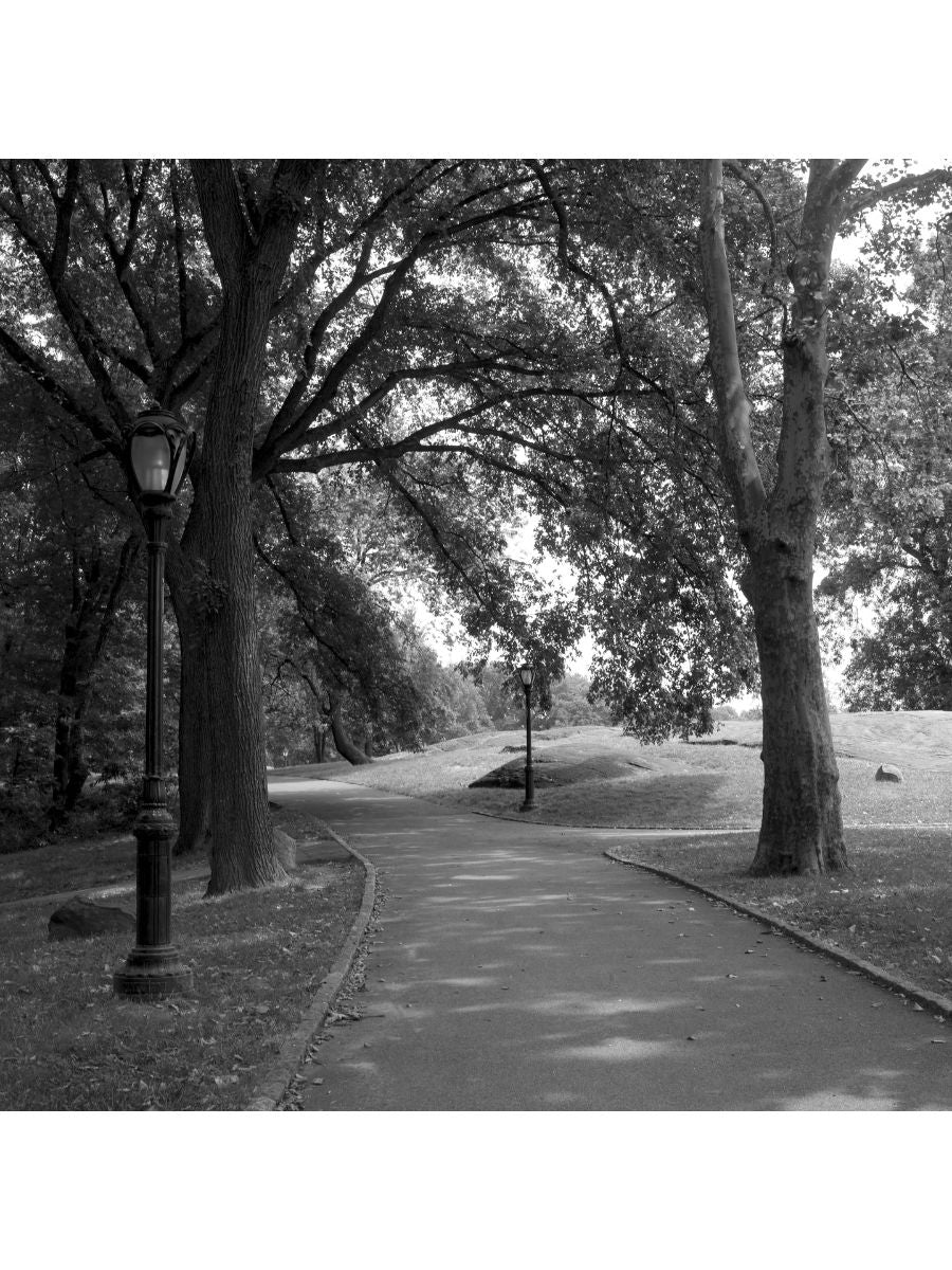 Jordan Craig, Central Park Path