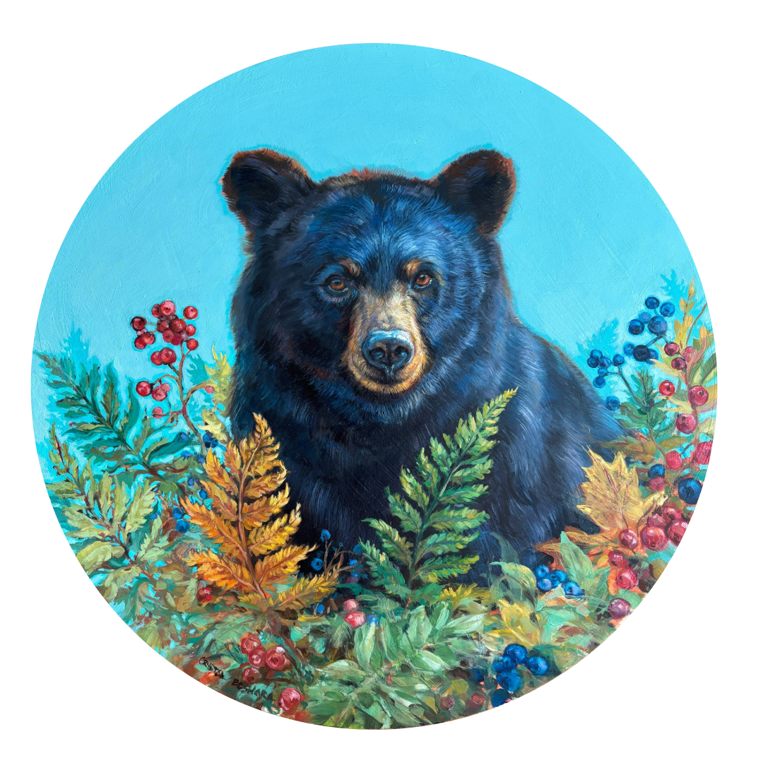 ACQUIRED | Crystal Beshara, A Friendly Encounter