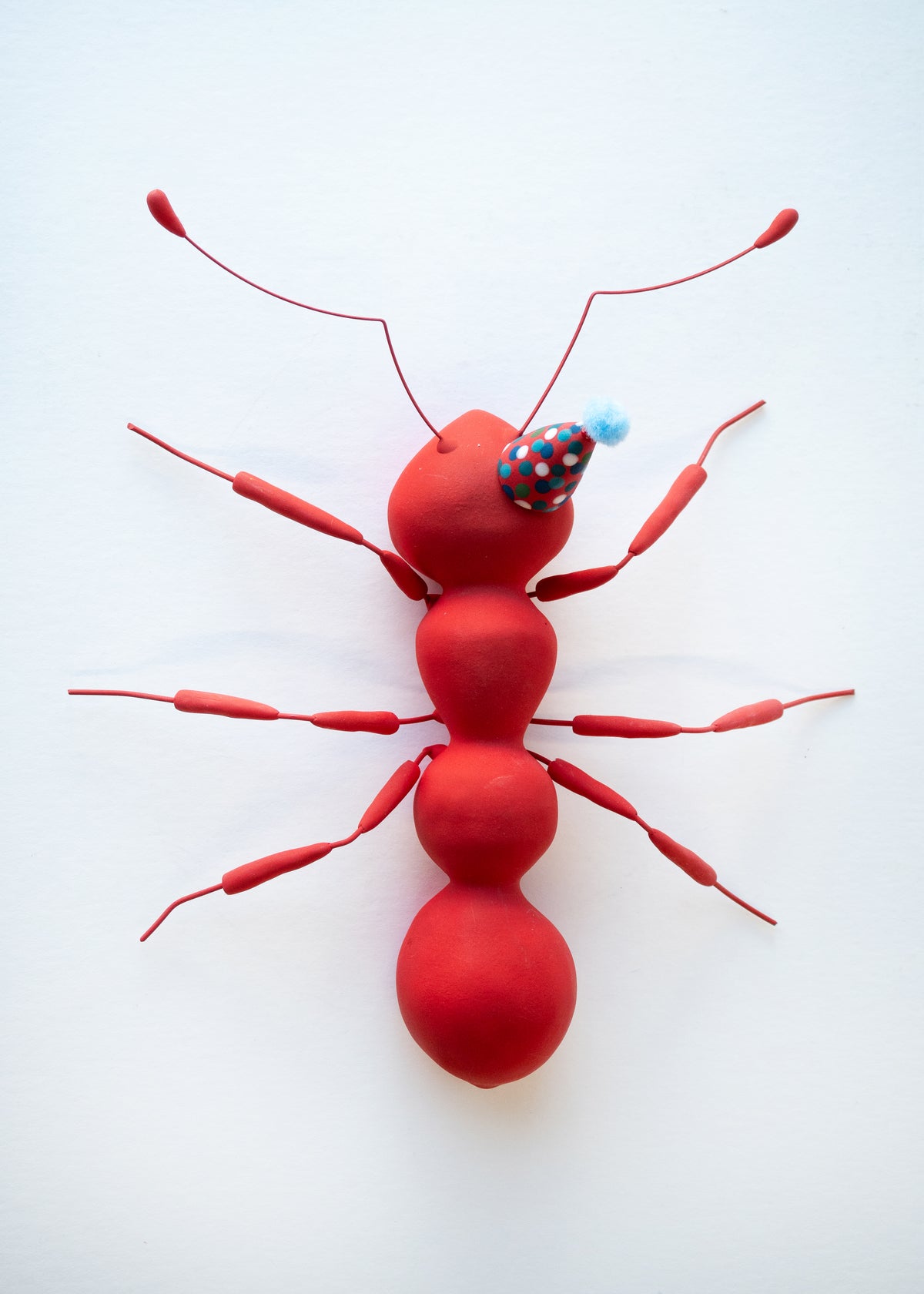 Dauma Stirbyte, Red Party Ant