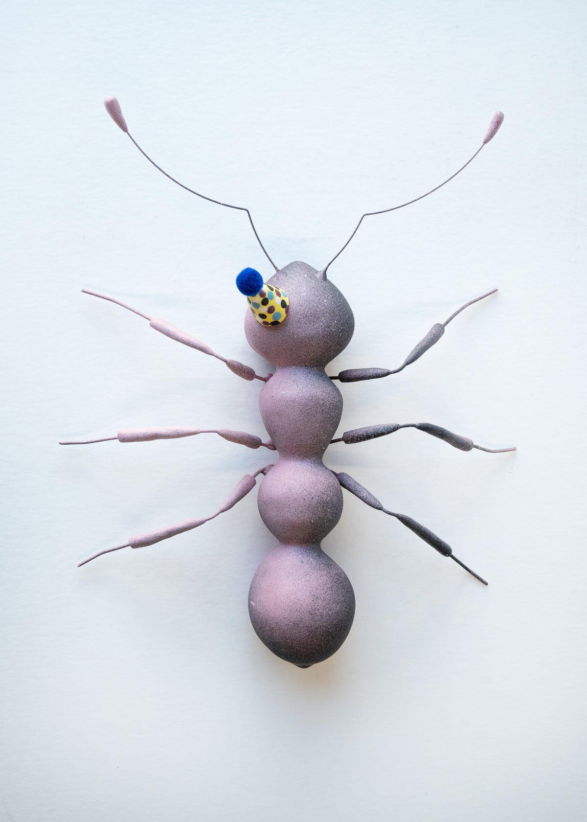 Dauma Stirbyte, Purple Party Ant-1