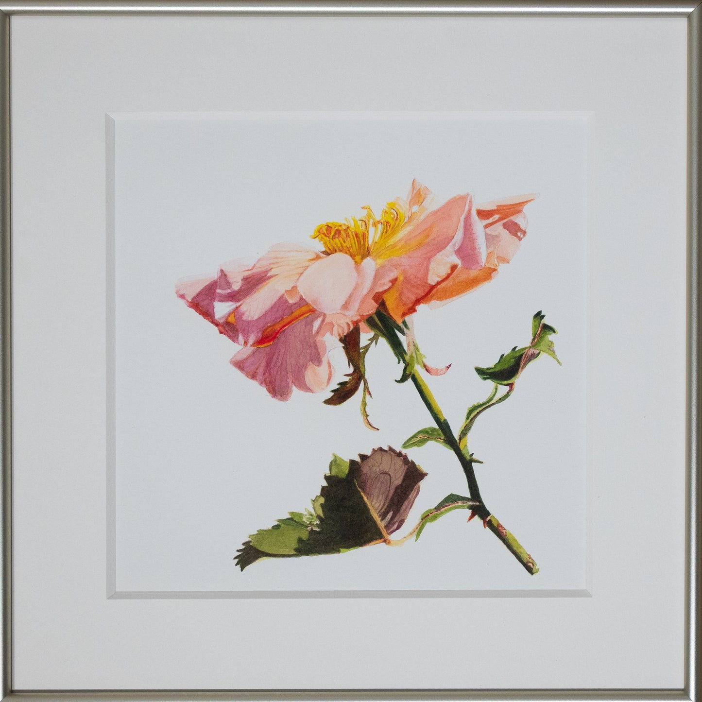 Brigitte Klassen, Under the Turning Light