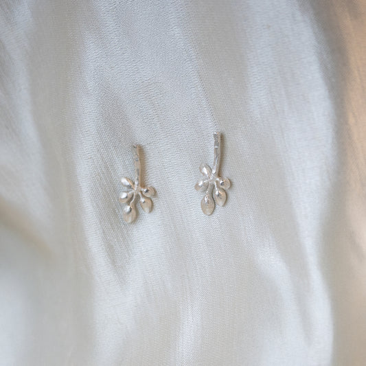 Andrea Mueller, Quintet Long Stud