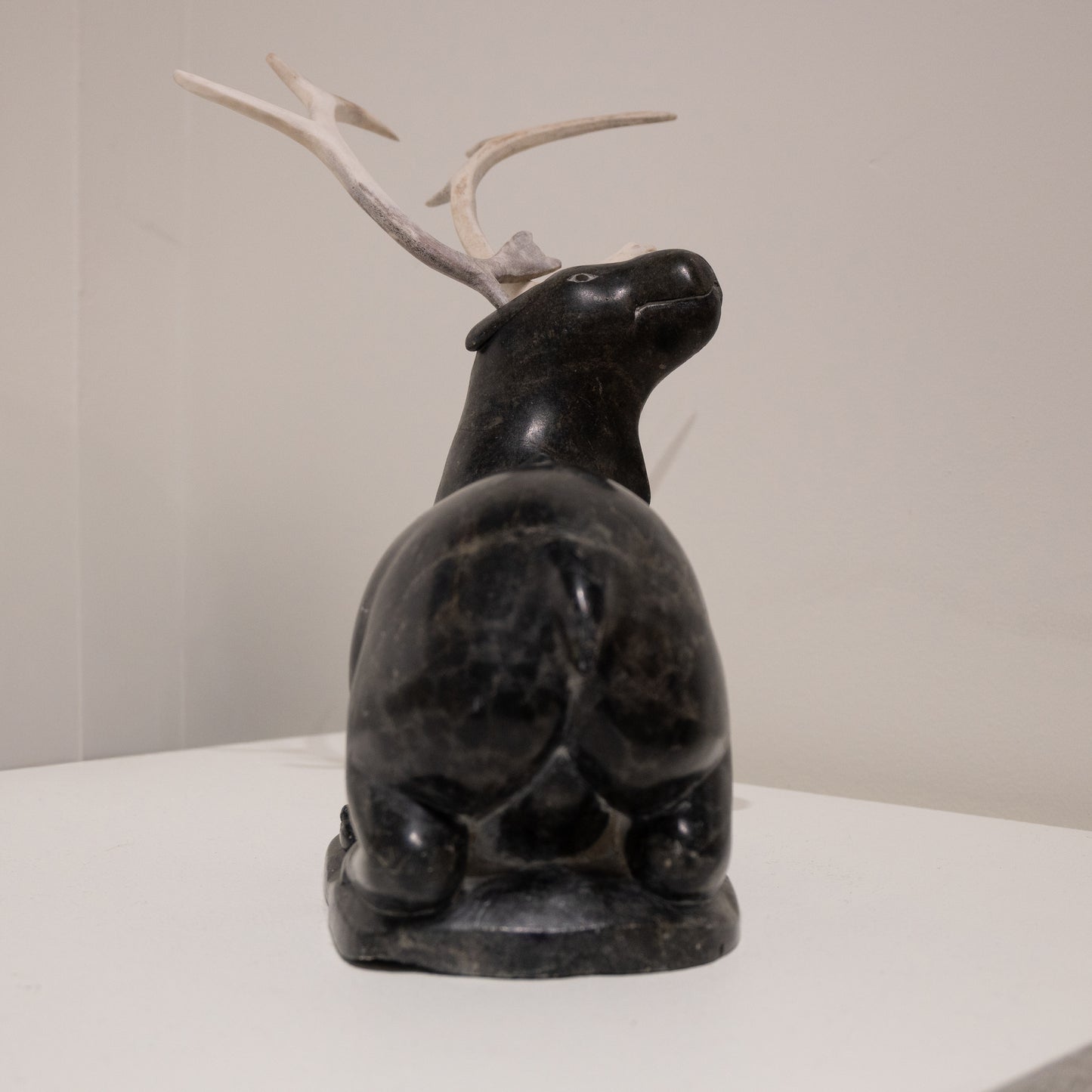 Unidentified Artist, Antler