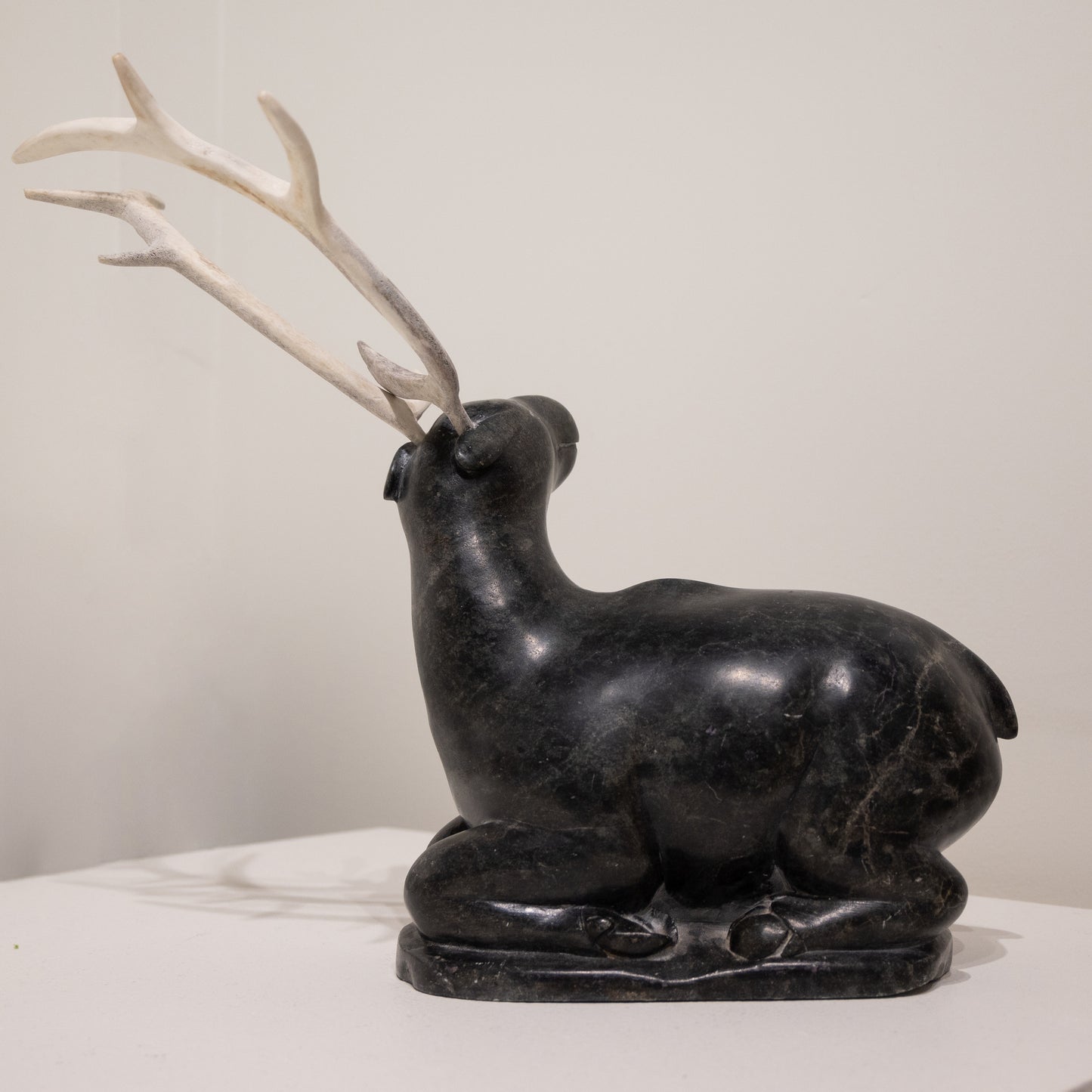 Unidentified Artist, Antler