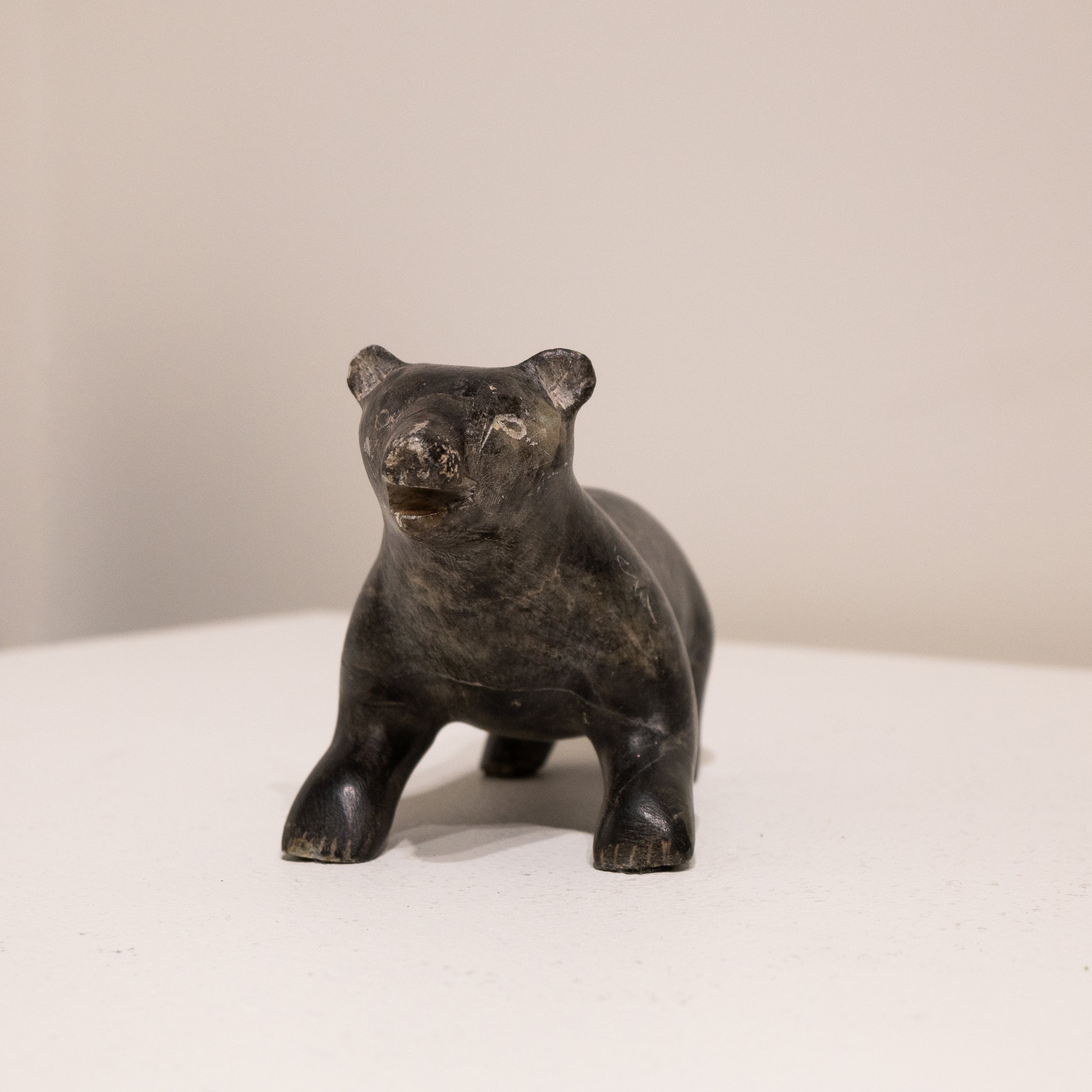 Jacob Tomassiah, Bear-5