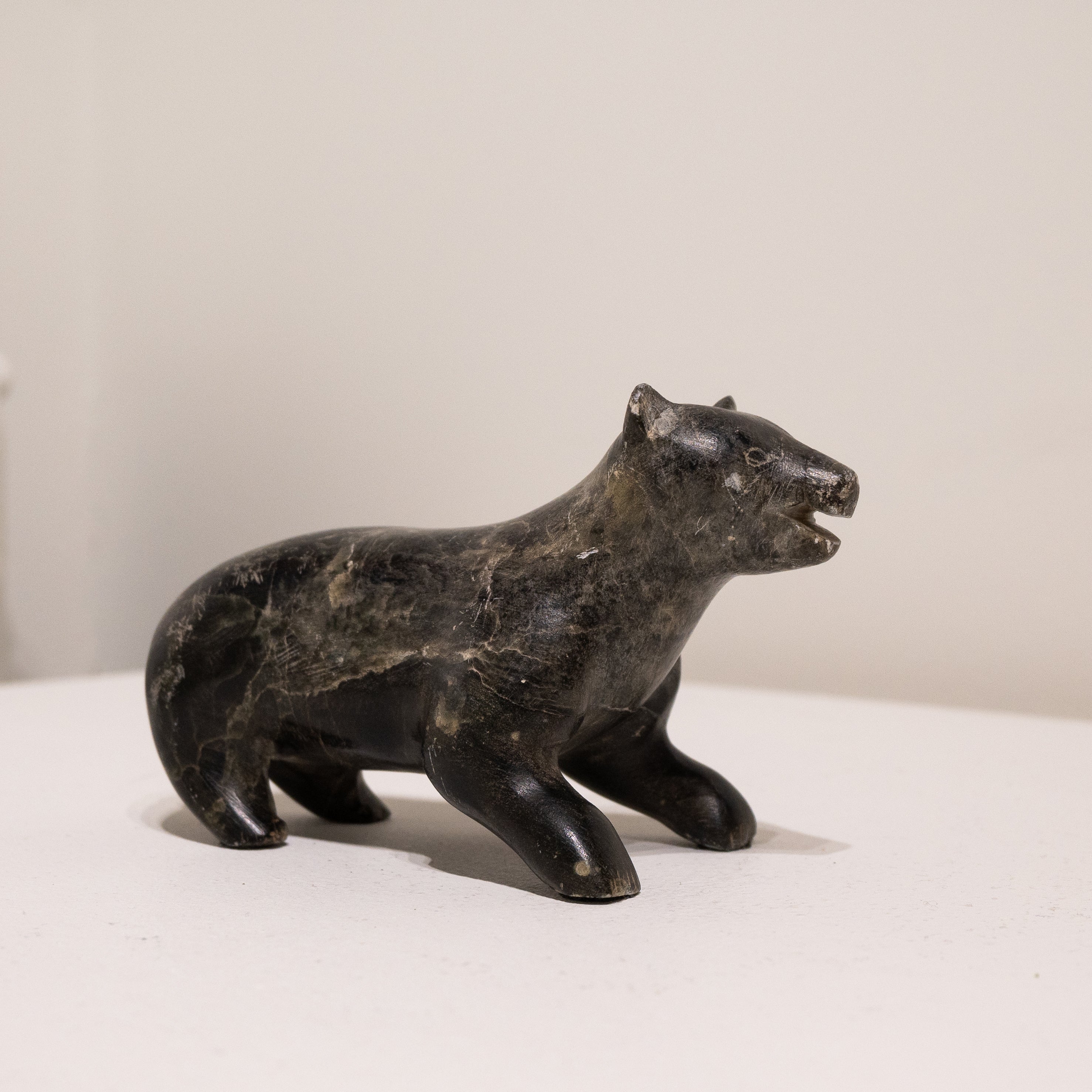 Jacob Tomassiah, Bear-6