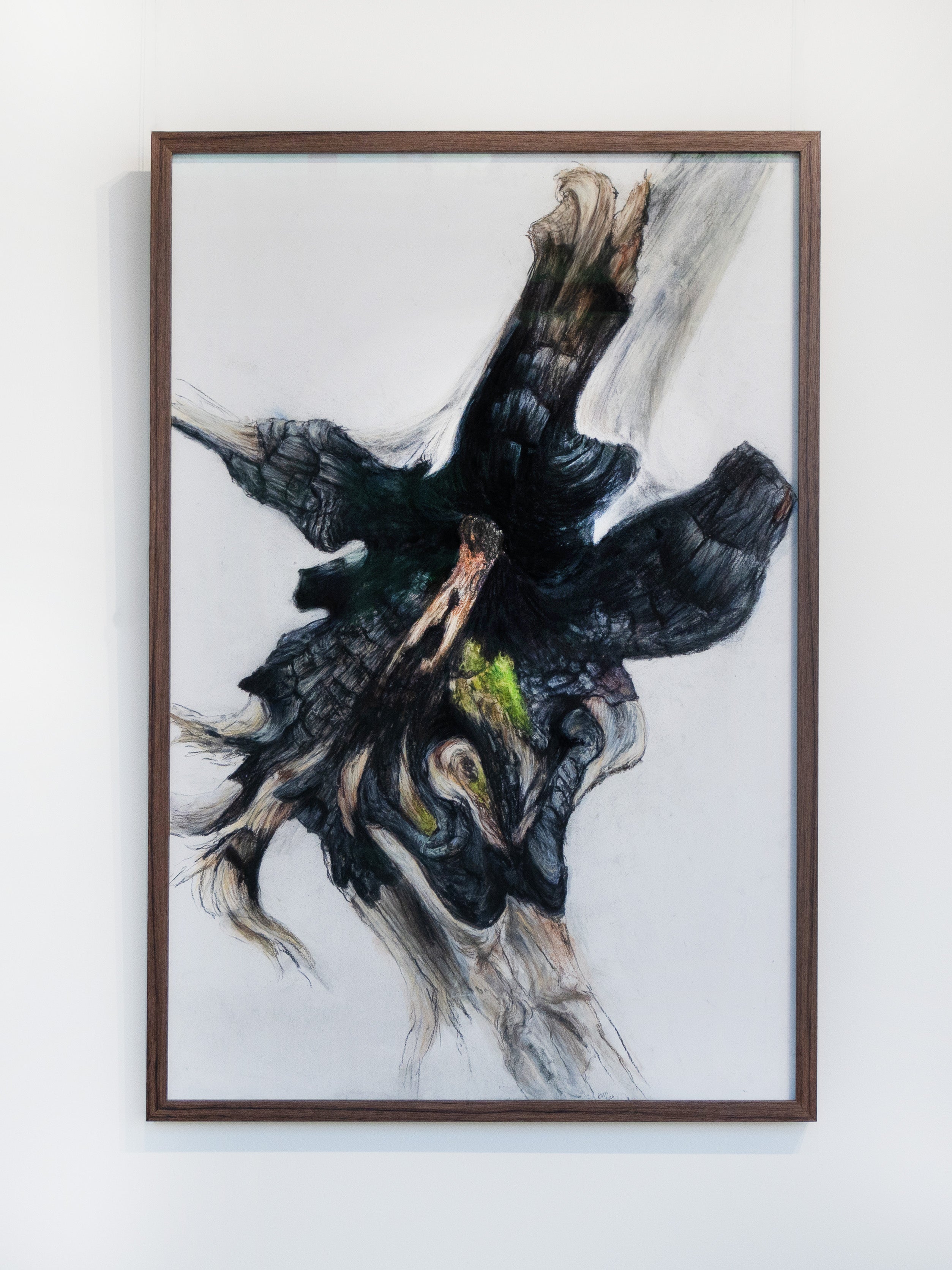 Gabrielle Madore, Charred Trunk, Lime Kilm Trail-1