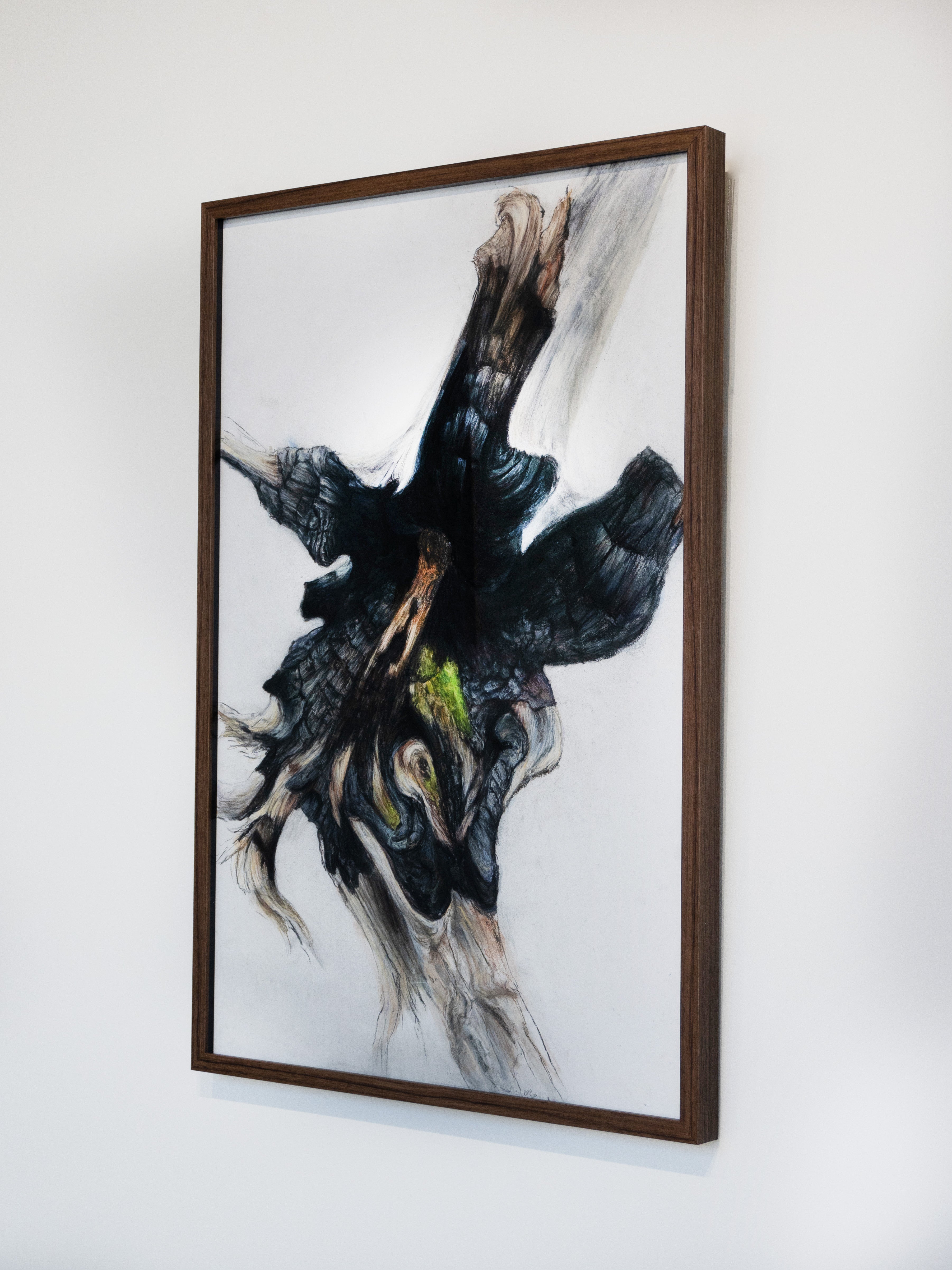 Gabrielle Madore, Charred Trunk, Lime Kilm Trail-4