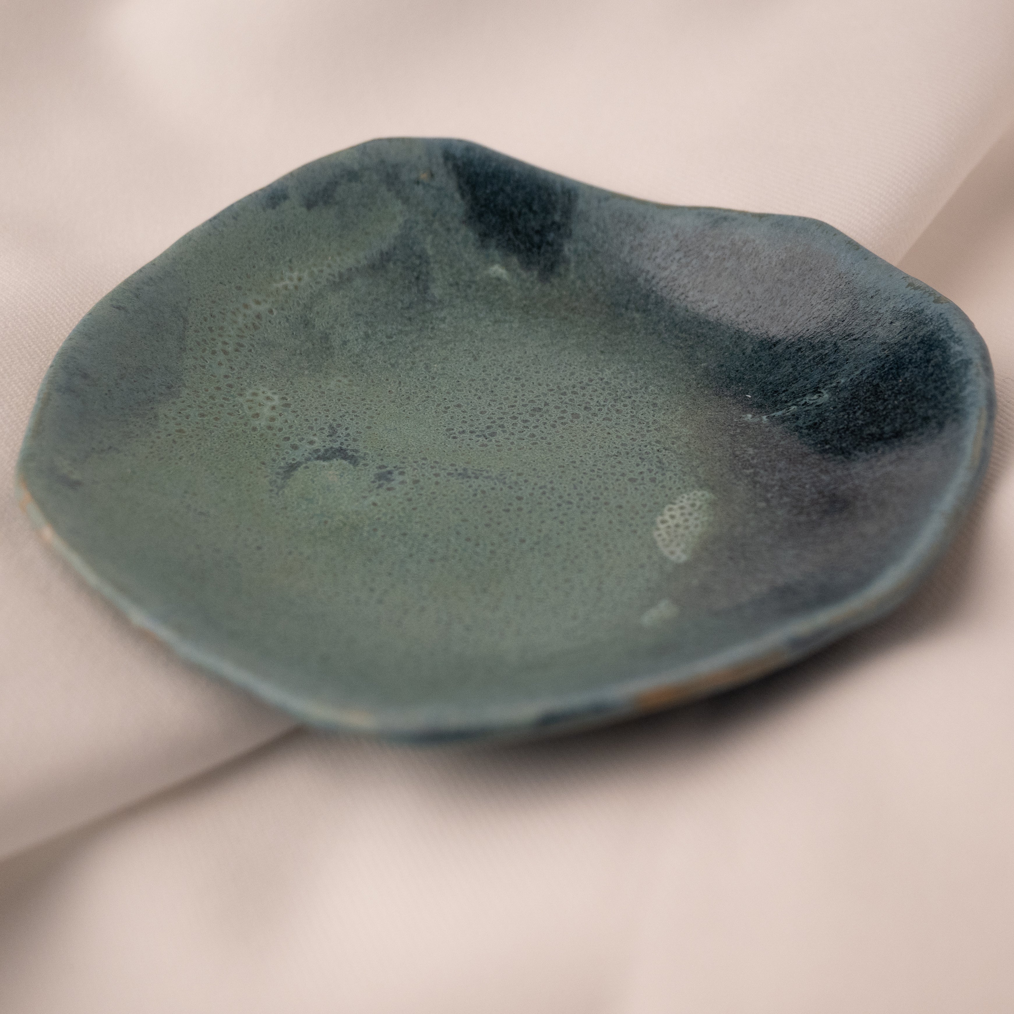 Heidi Conrod, Dish-3