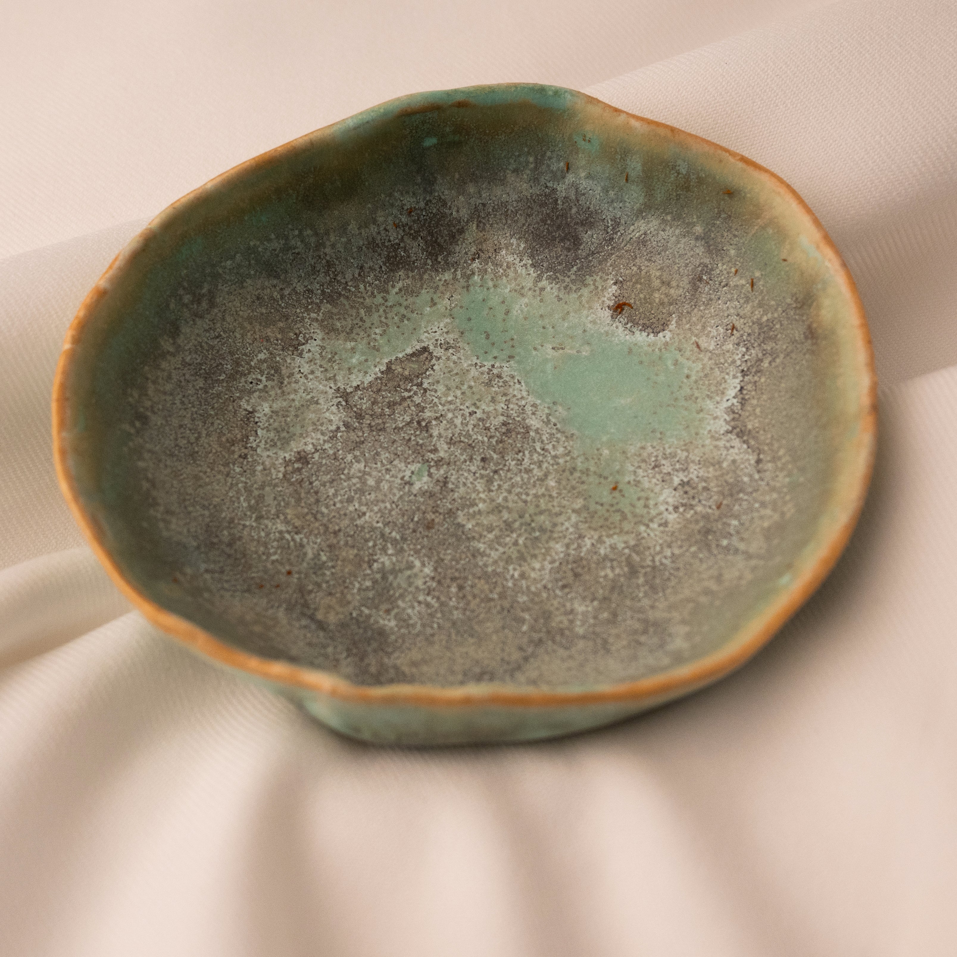 Heidi Conrod, Dish