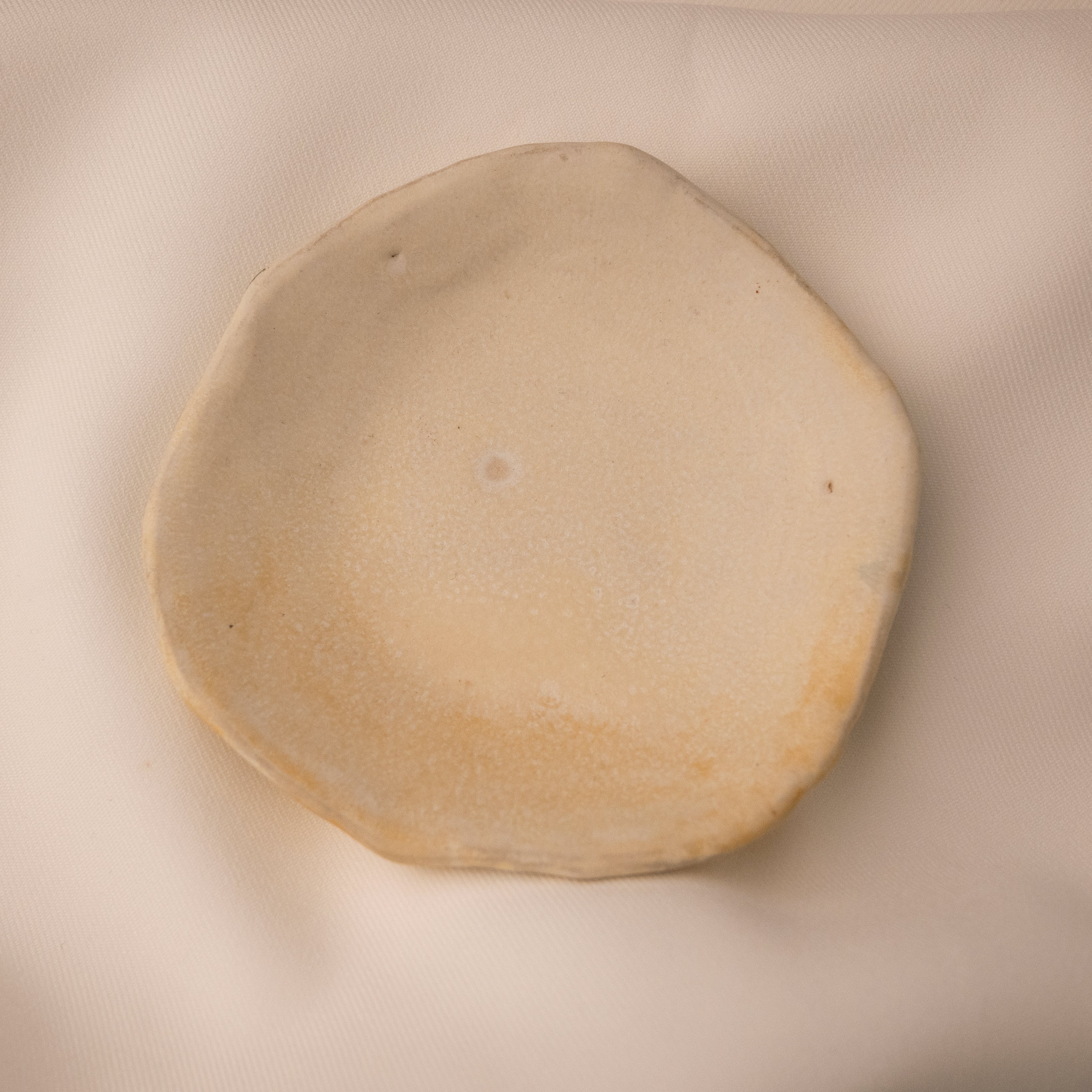 Heidi Conrod, Dish