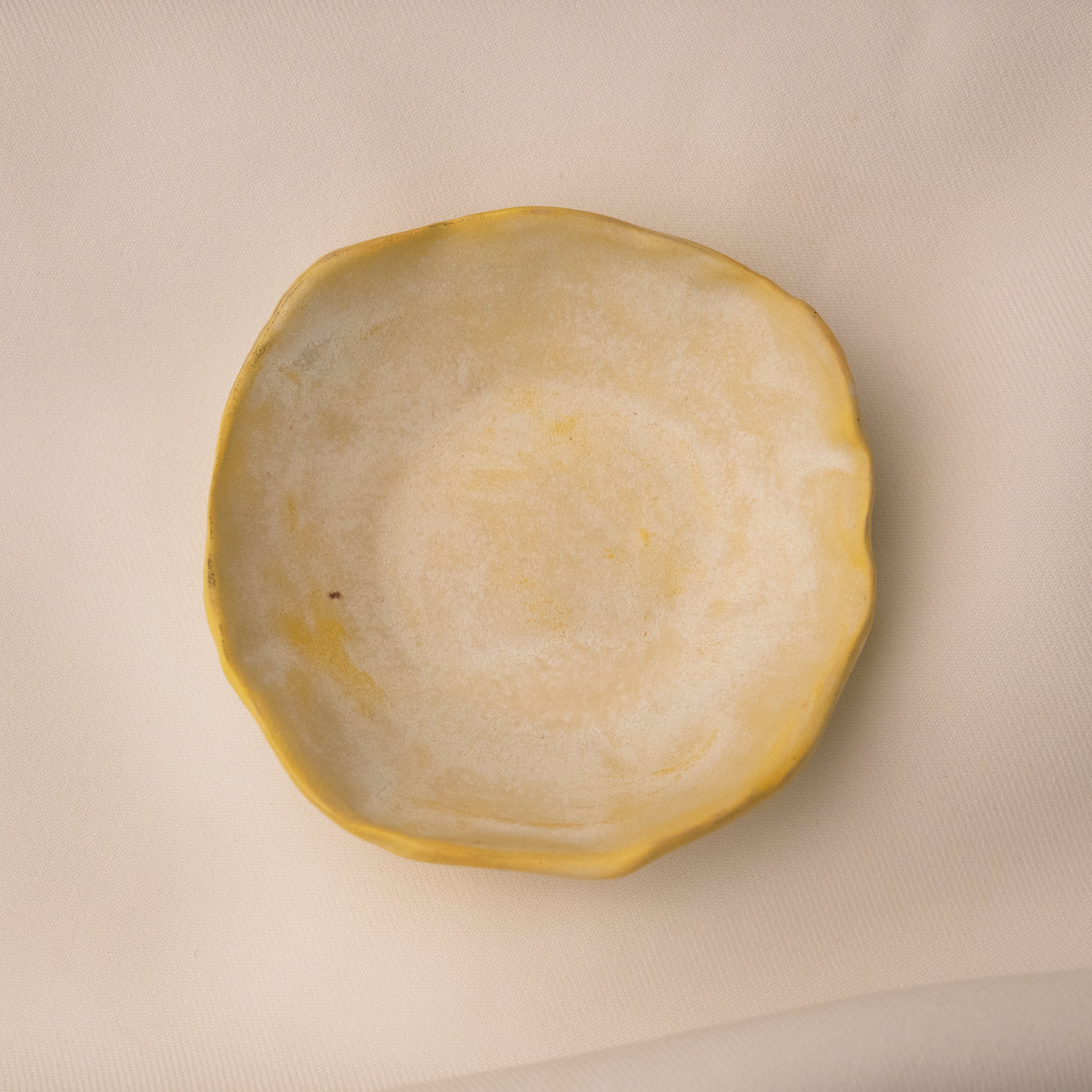 Heidi Conrod, Dish