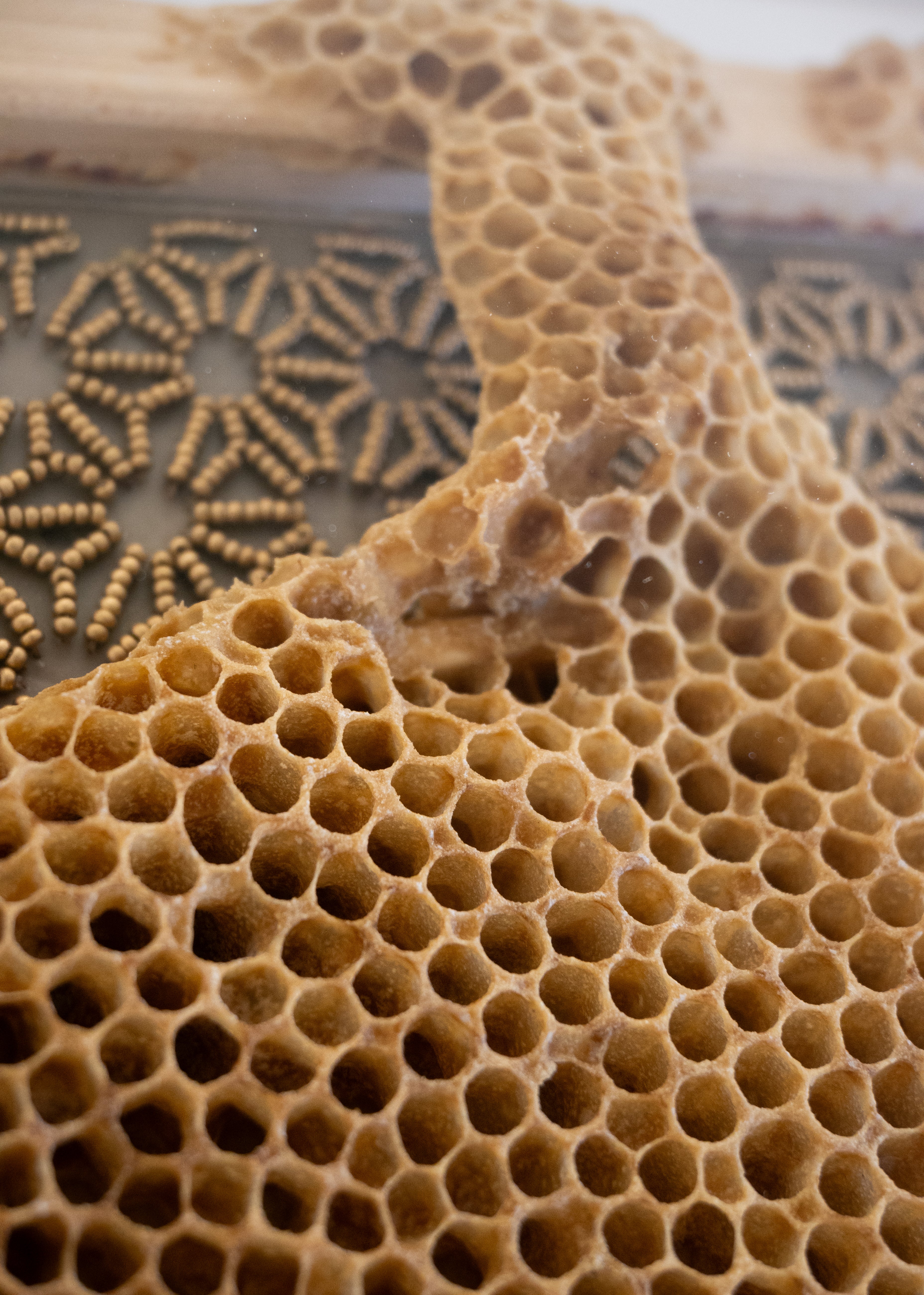 Ava Roth, Beaded Circles, Taupe-2