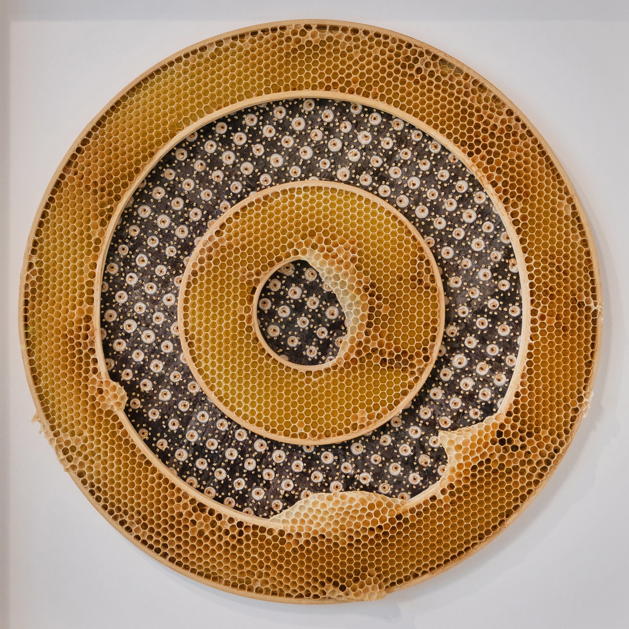 Ava Roth, Beaded Circles, Brown and Gold-6
