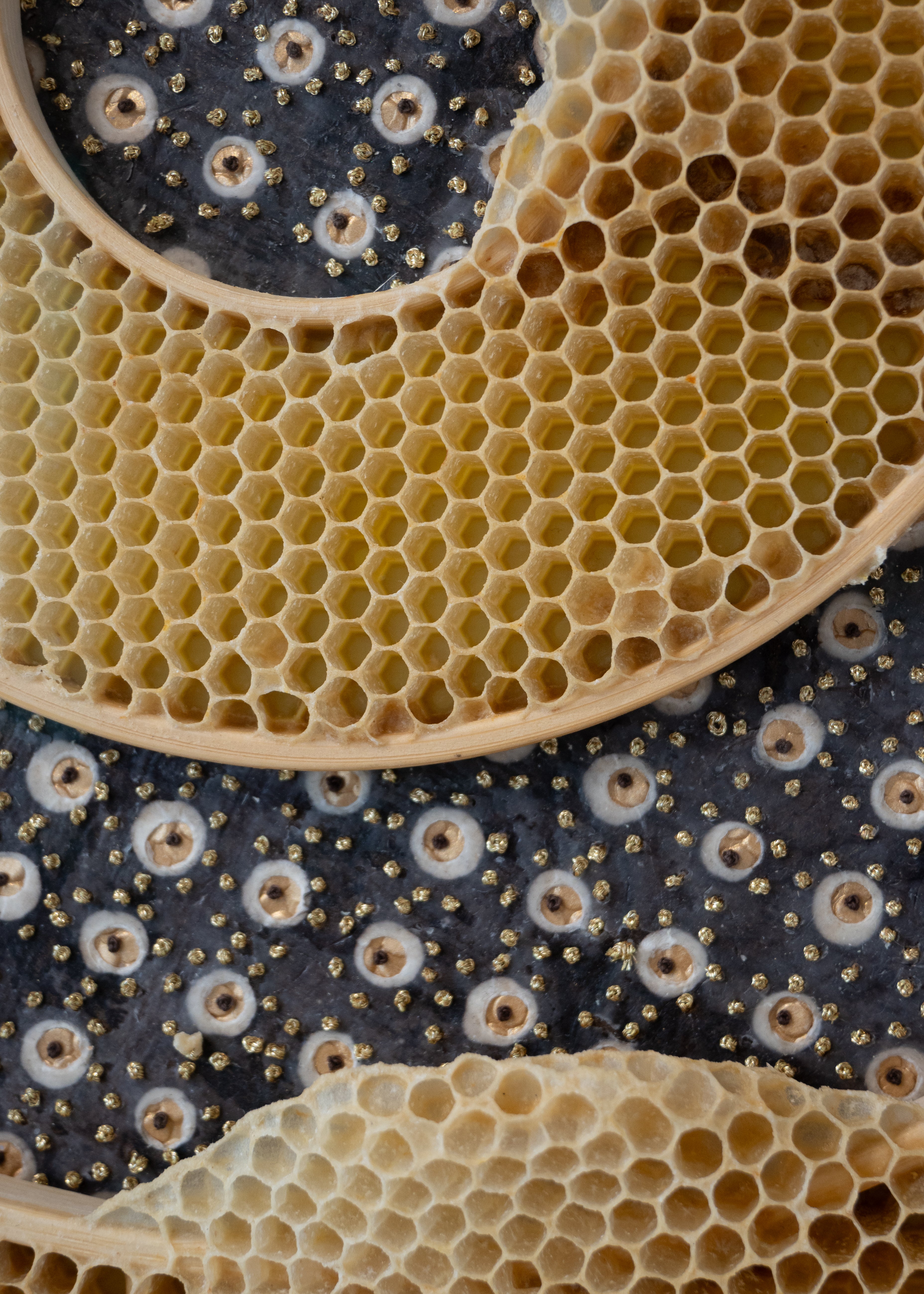 Ava Roth, Beaded Circles, Brown and Gold-5
