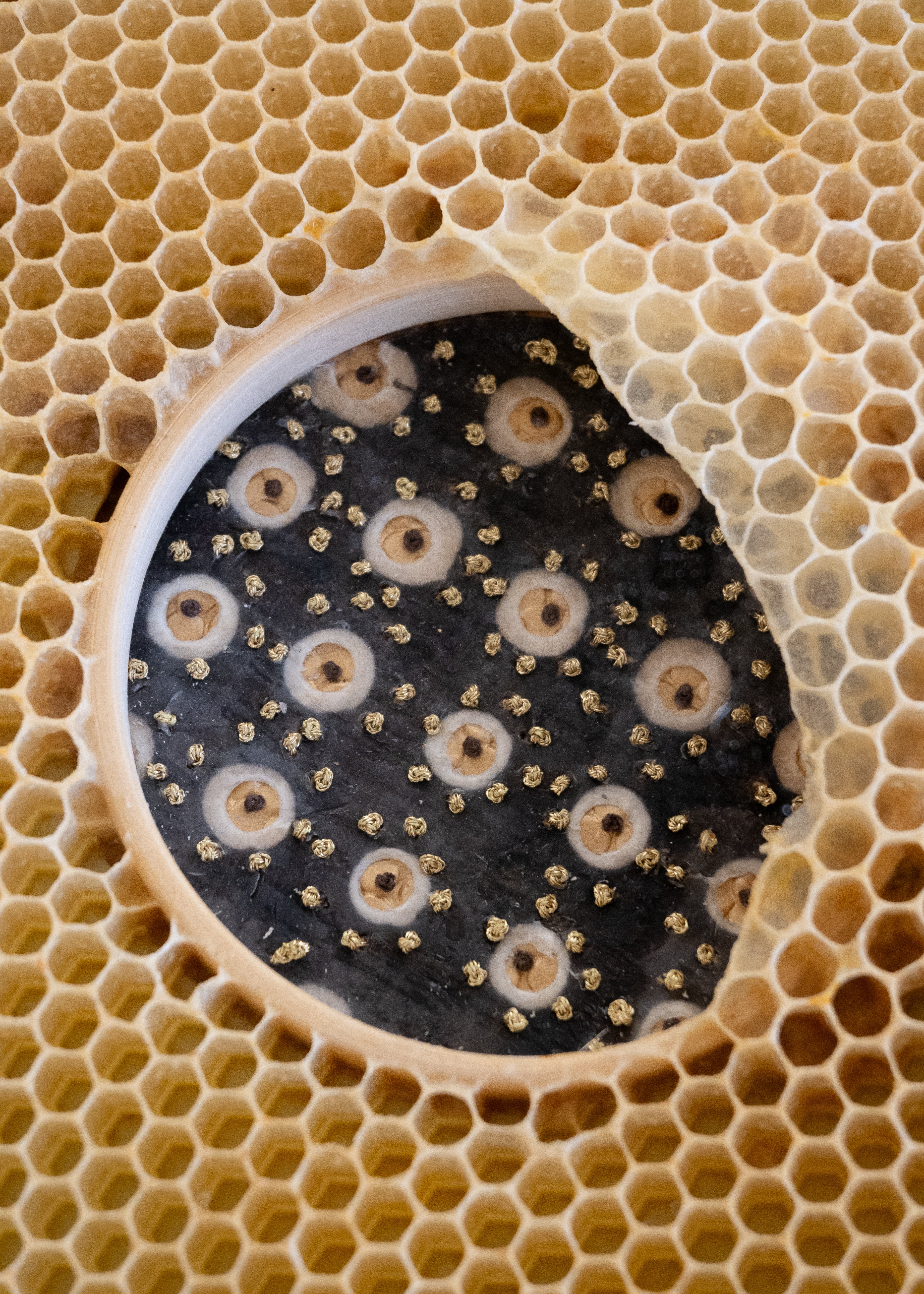 Ava Roth, Beaded Circles, Brown and Gold-3