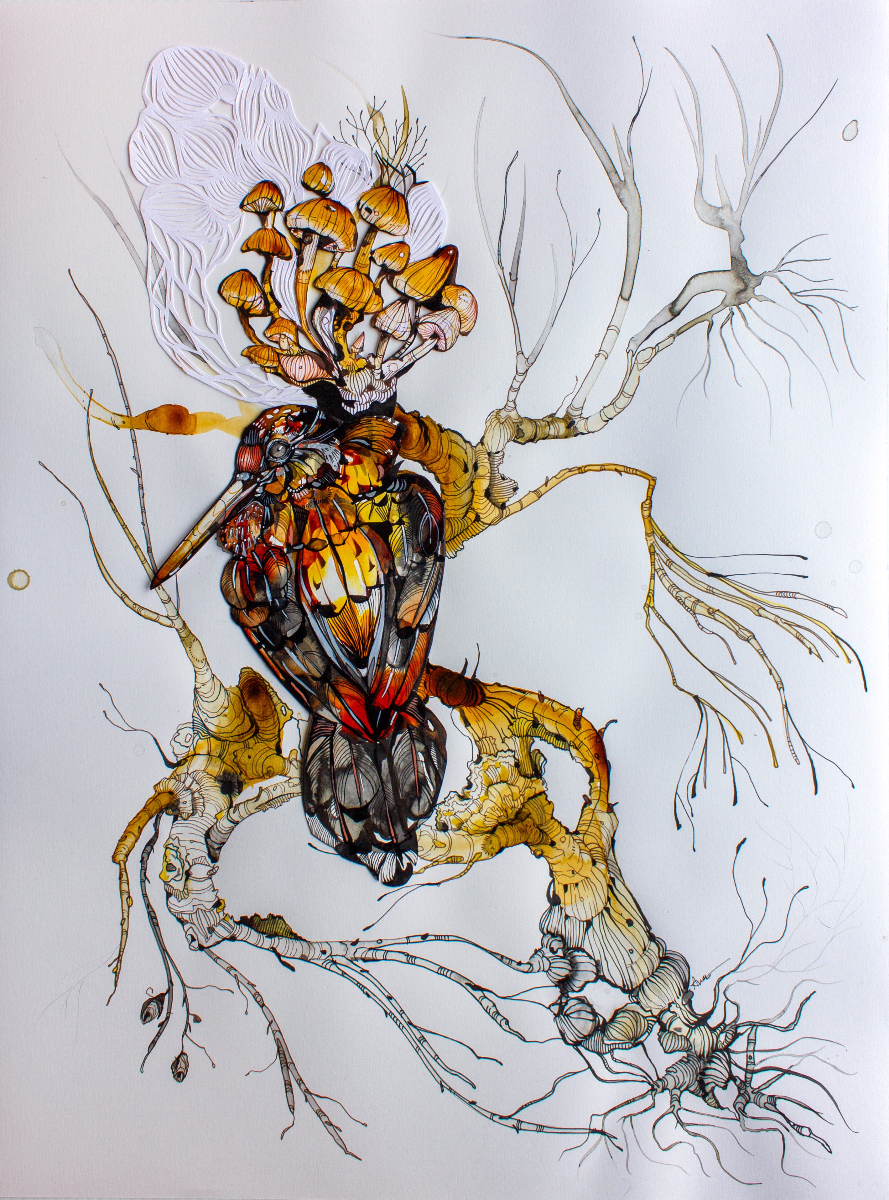 Ariane Beauchamp, Dreamer