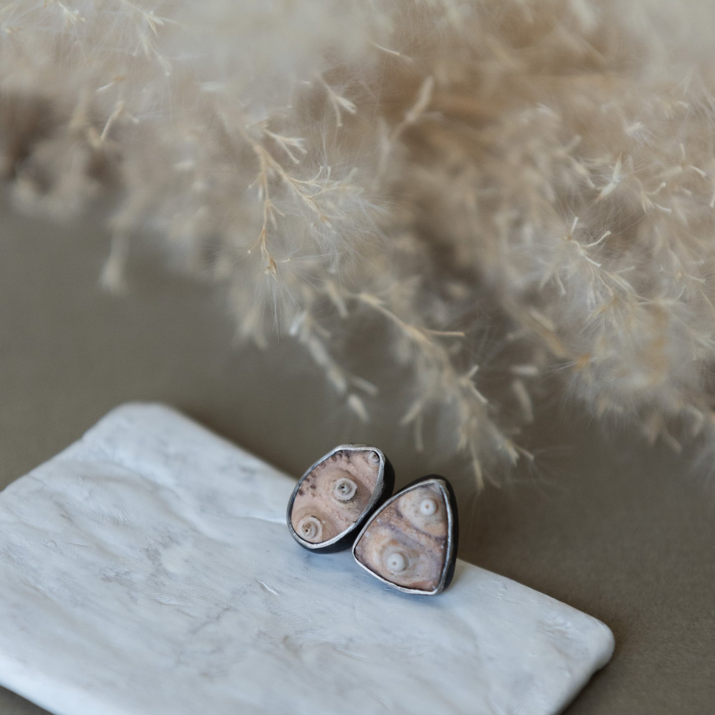 Lori Francescutti, Fossilized Urchin Stud Earrings