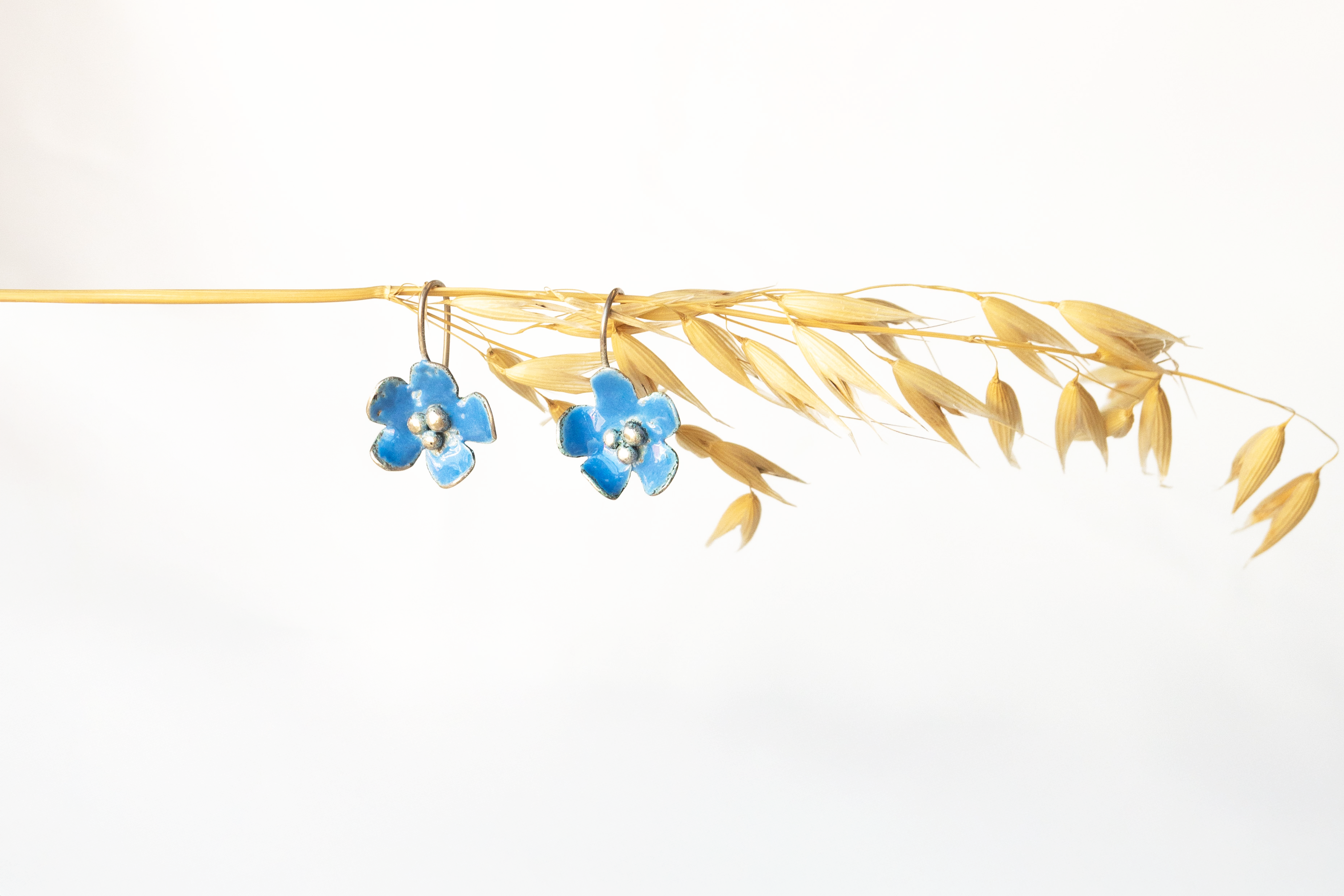 Galili Ellis, Enamel Forget-me-not Earrings-4