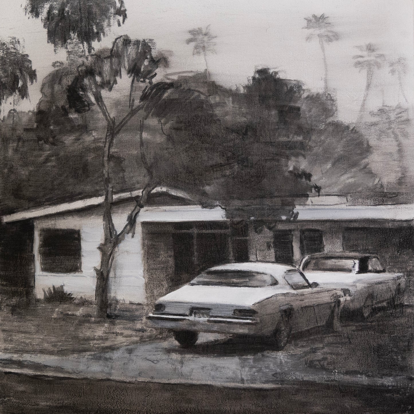 Andrew Beck, Fire Bird