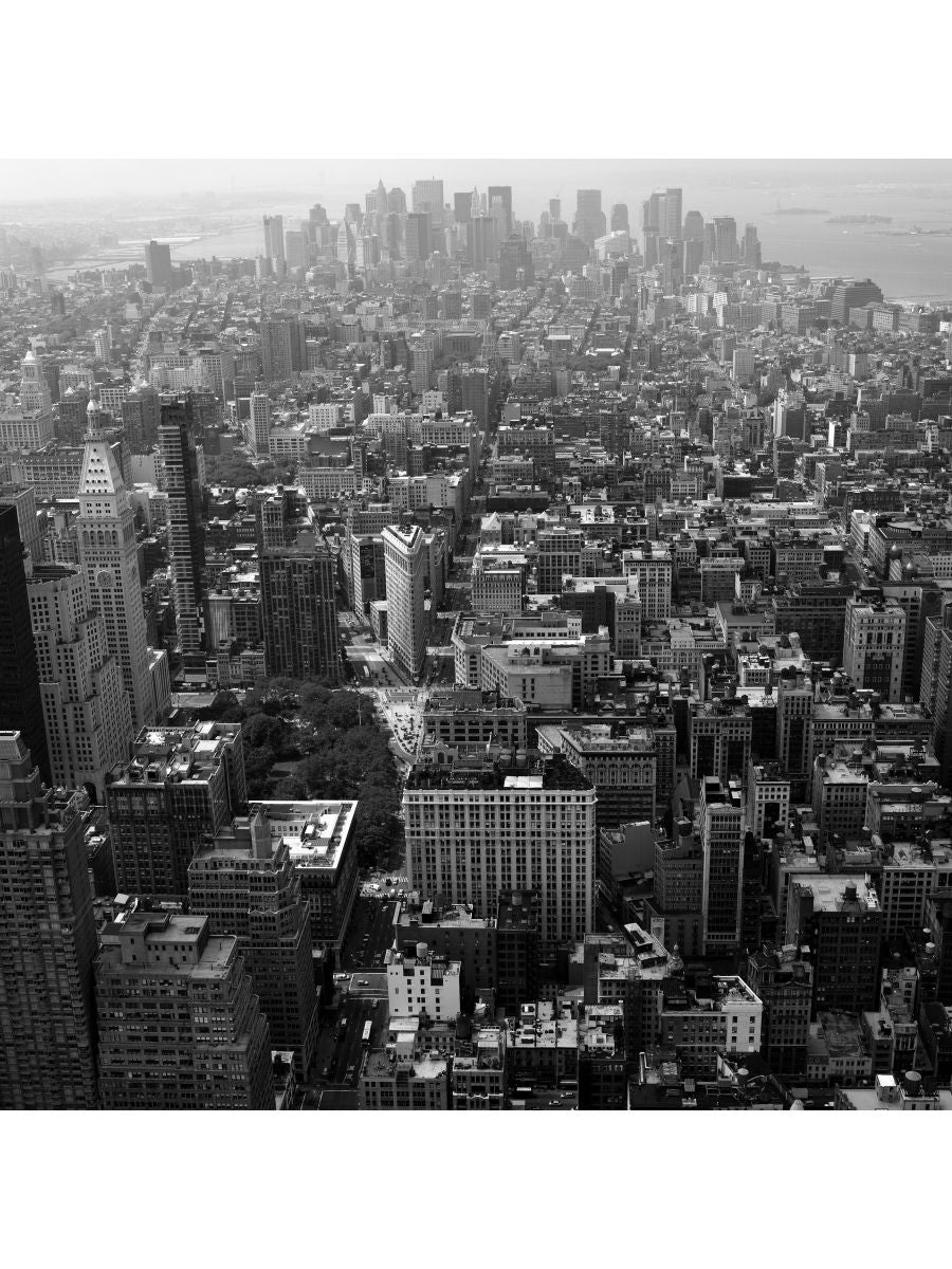 Jordan Craig, Flat Iron and Lower Manhattan