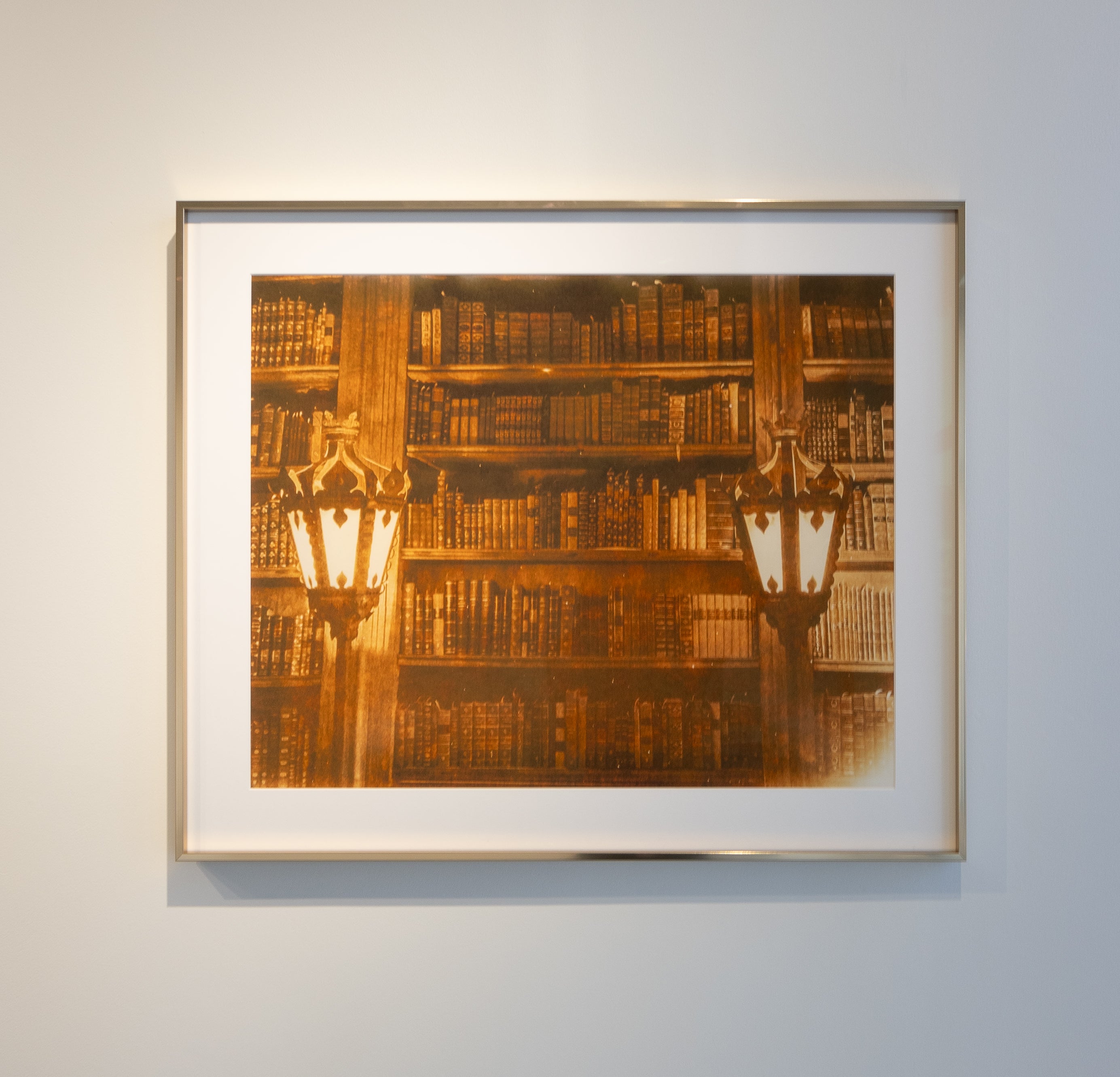 ACQUIRED | Joy Kardish, The Library