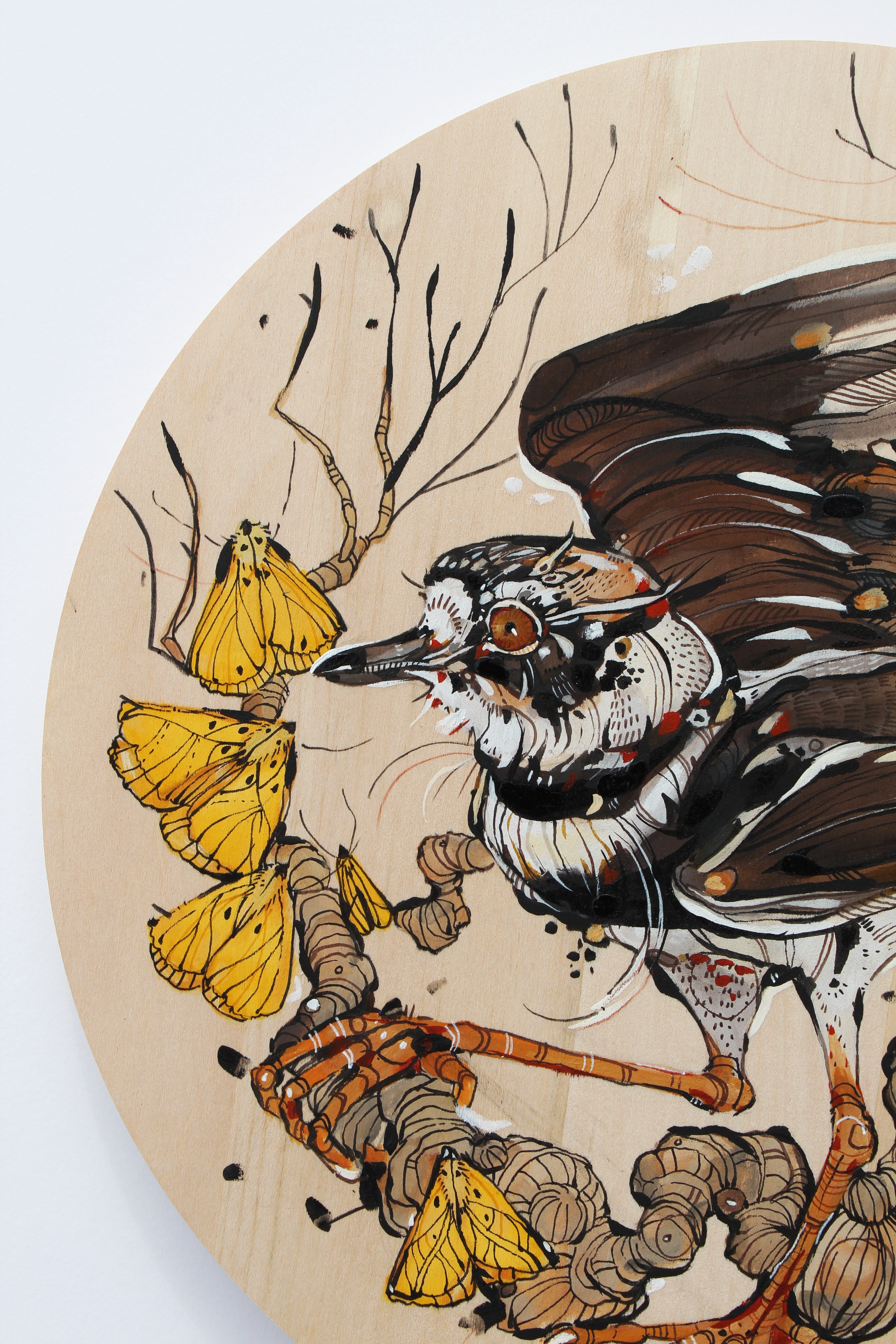 Ariane Beauchamp, Grassland-4